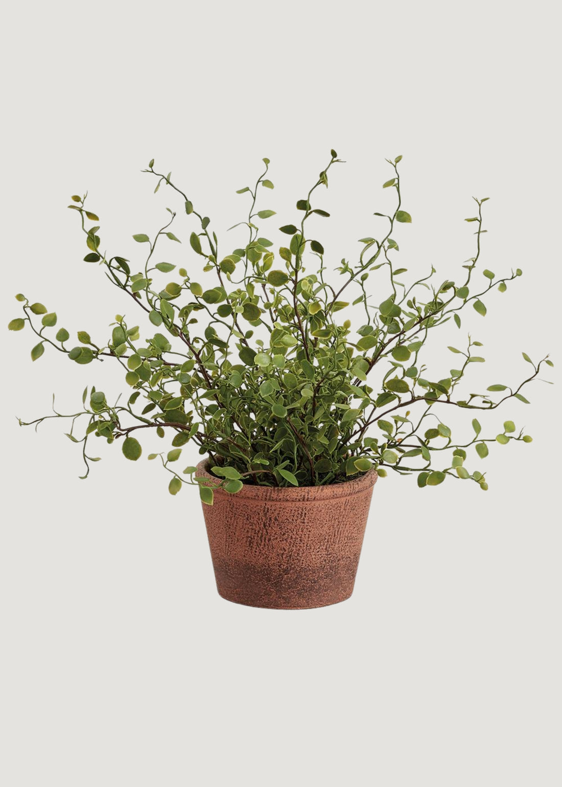 Artificial Plant Maidenhair Creeping Vine in Pot