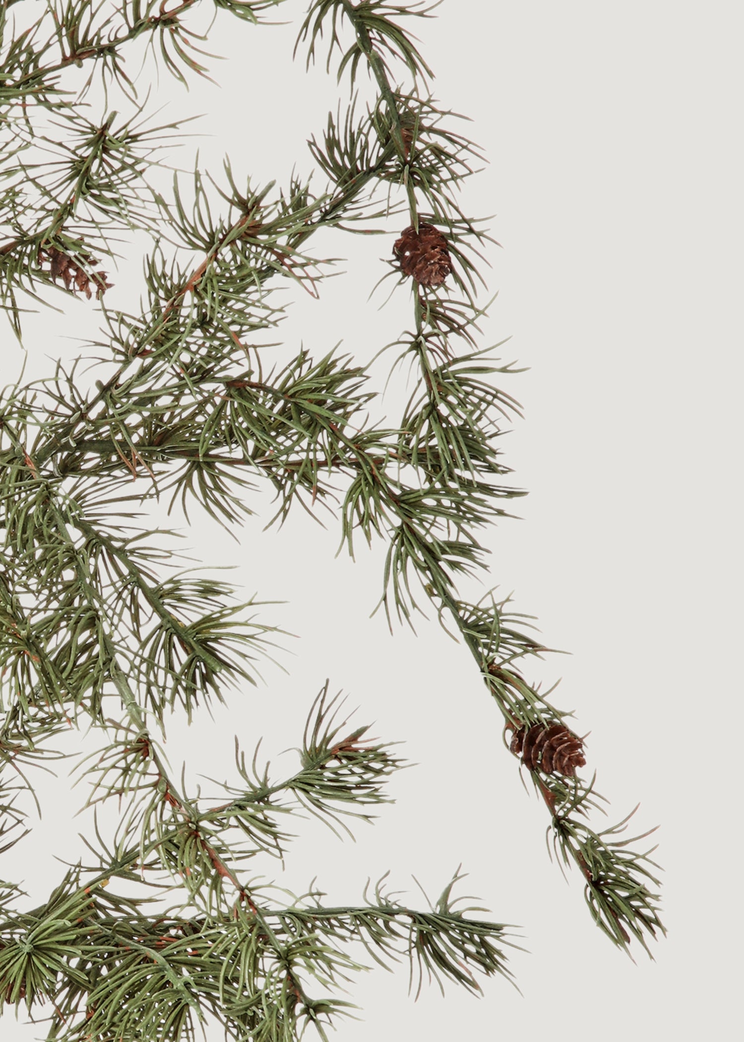 Close-up of Natural Touch Bonsai Pine Hanging Winter Branch