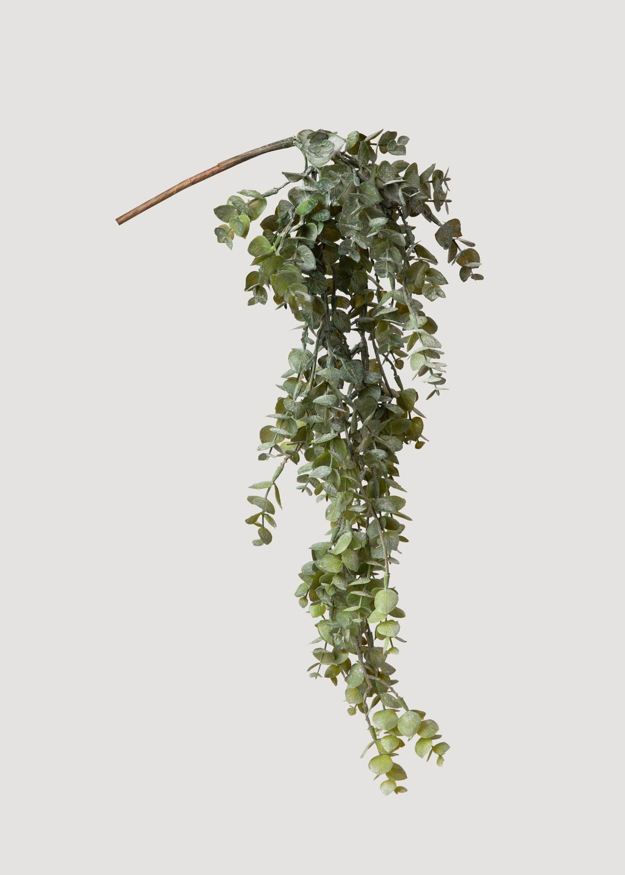 Faux Hanging Eucalyptus Bush
