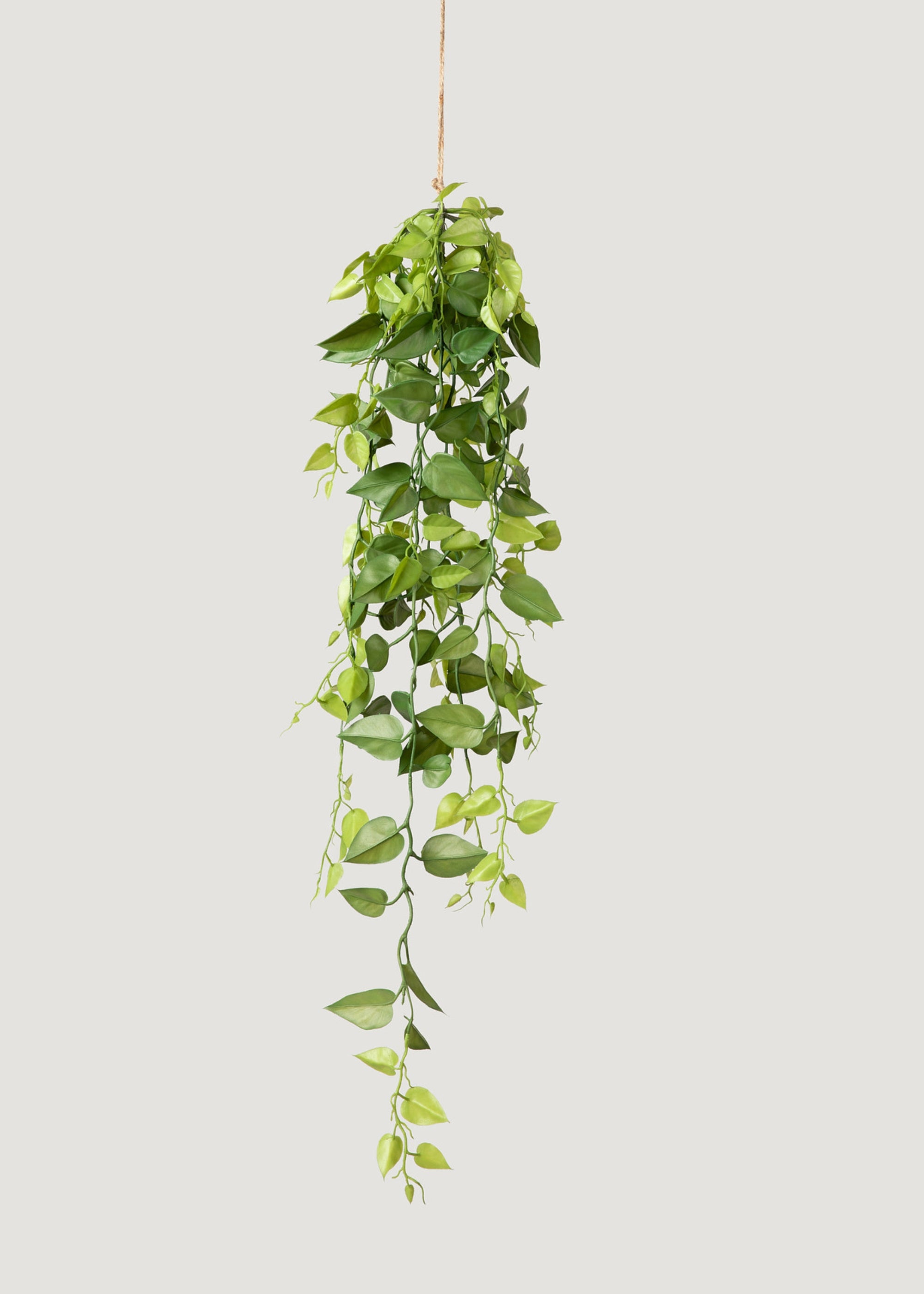 hanging plants nearby Artificial Plants Hanging Philodendron Bush
