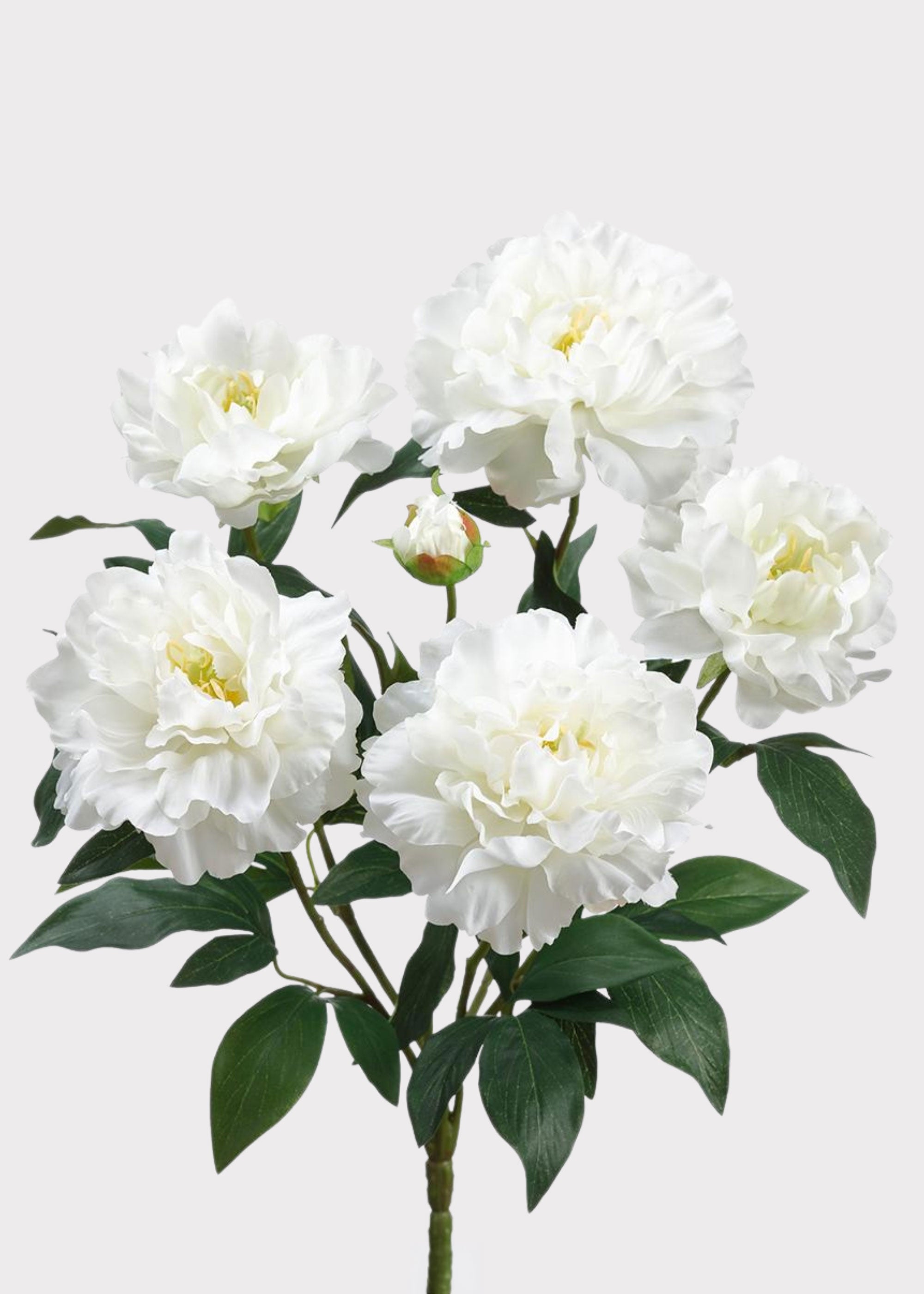 Artificial Peony Flower Bush in White - 18