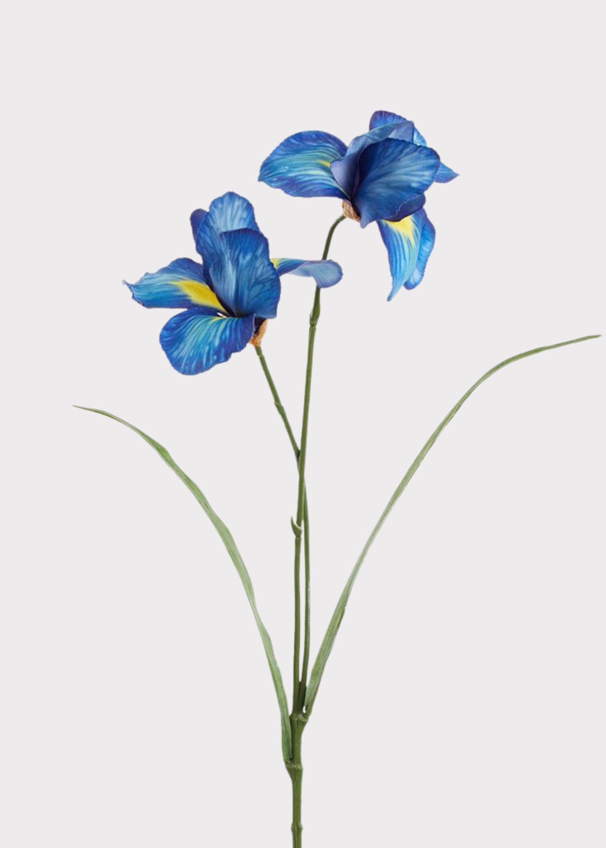 Artificial Wild Iris Flowers in Blue and Yellow - 22.5
