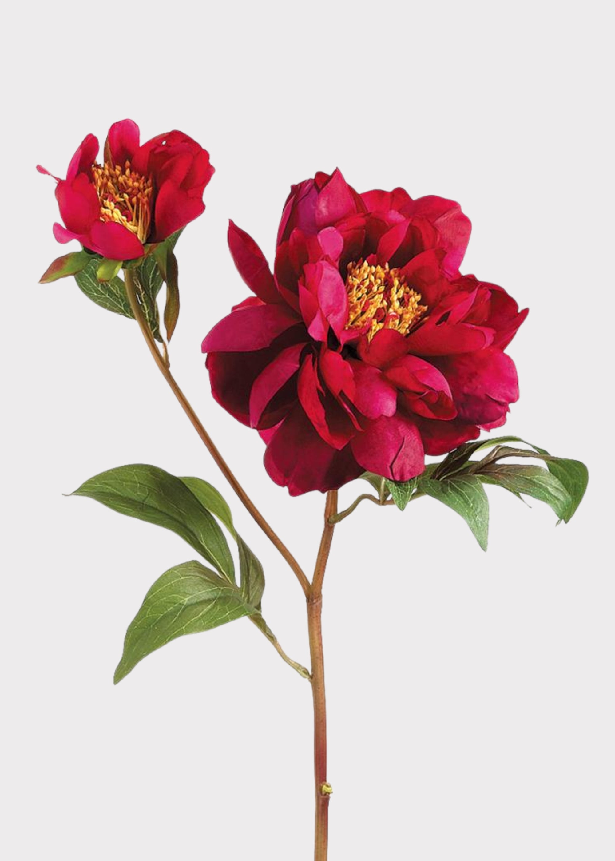 Large Peony Stem in Fuchsia | Permanent Artificial Flowers | Afloral