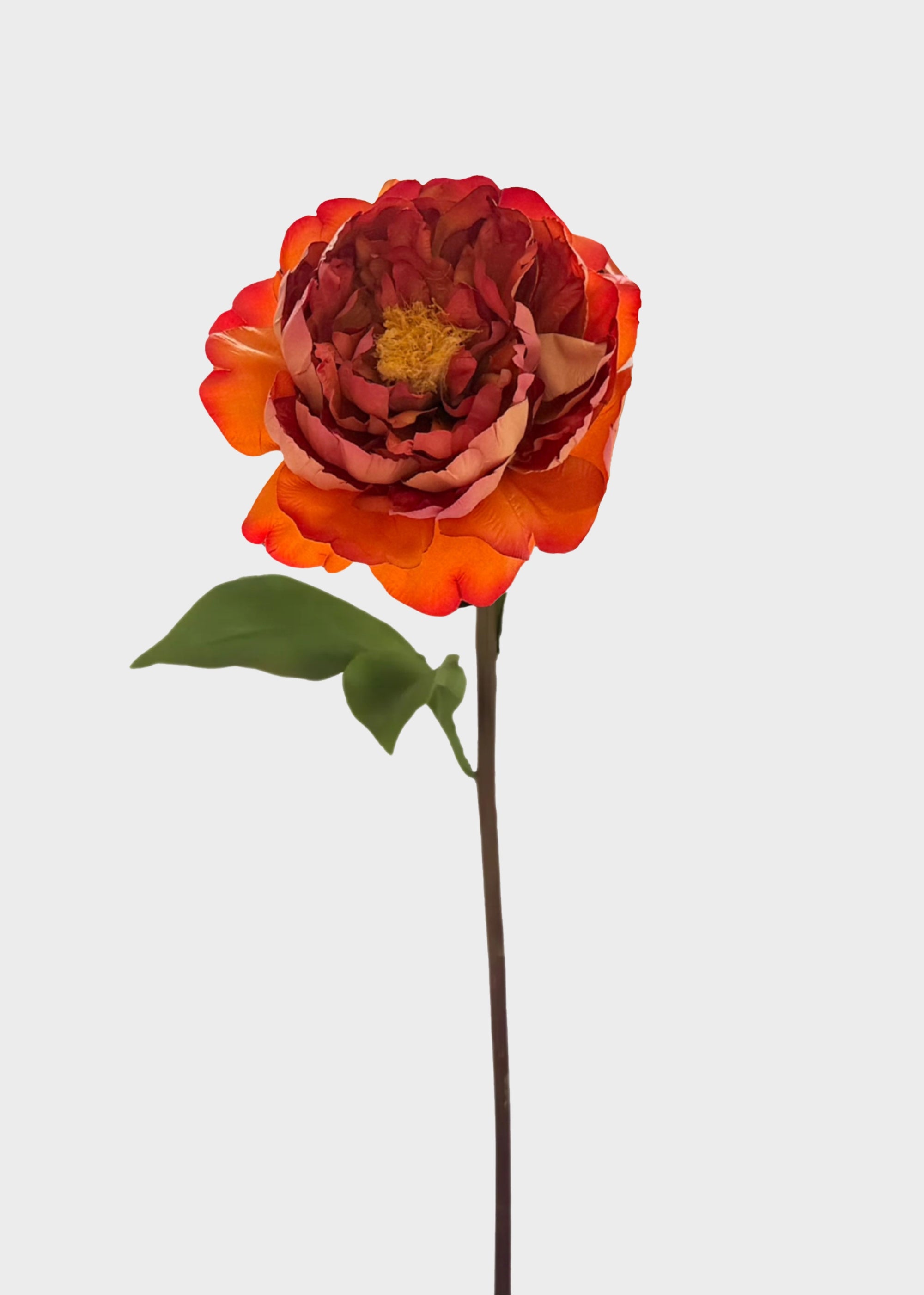 Peony Stem in Rust | Elevated Artificial Fall Flowers | Afloral