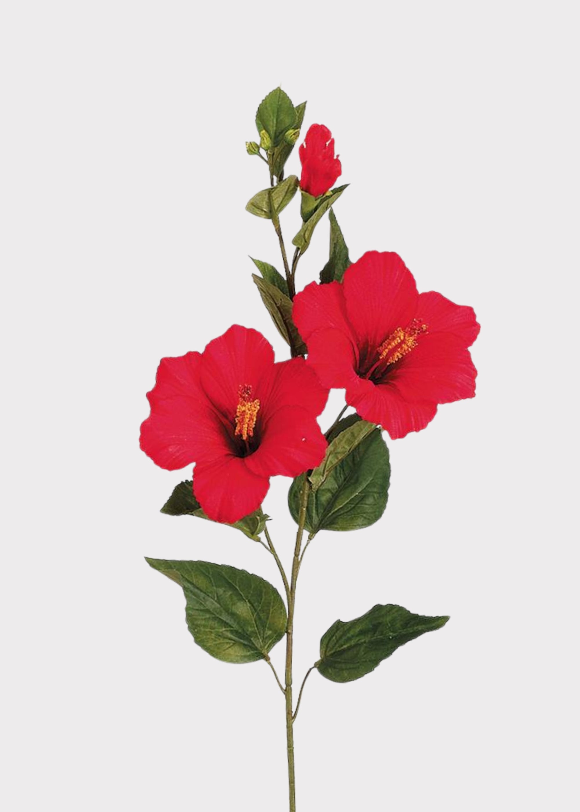 Red Hibiscus Flower Stem | Artificial Tropical Botanicals | Afloral
