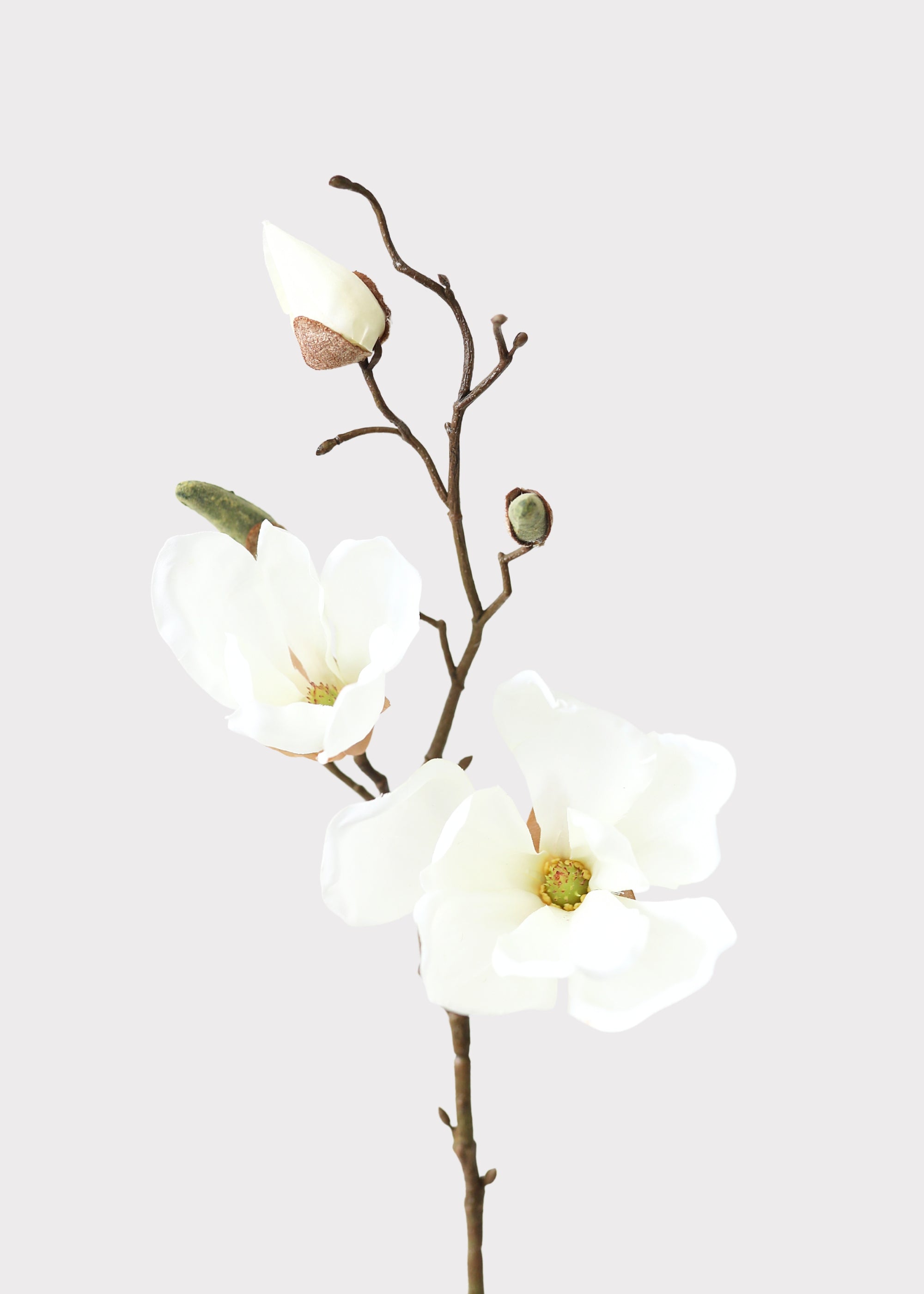 Magnolia Pick in Cream | Lifelike Fake Spring Flowers | Afloral