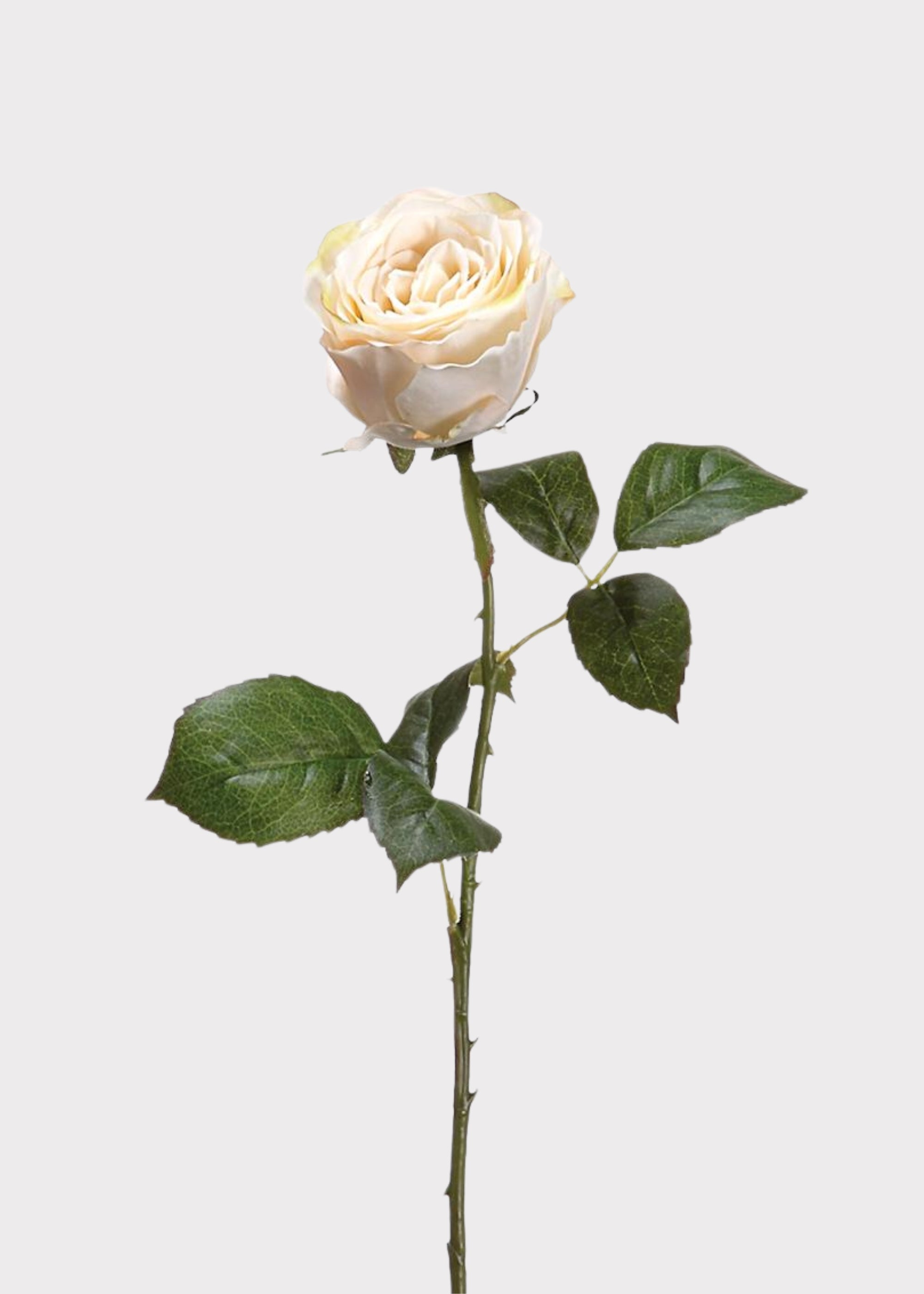Beige Half Open Rose Fake Flower - 22