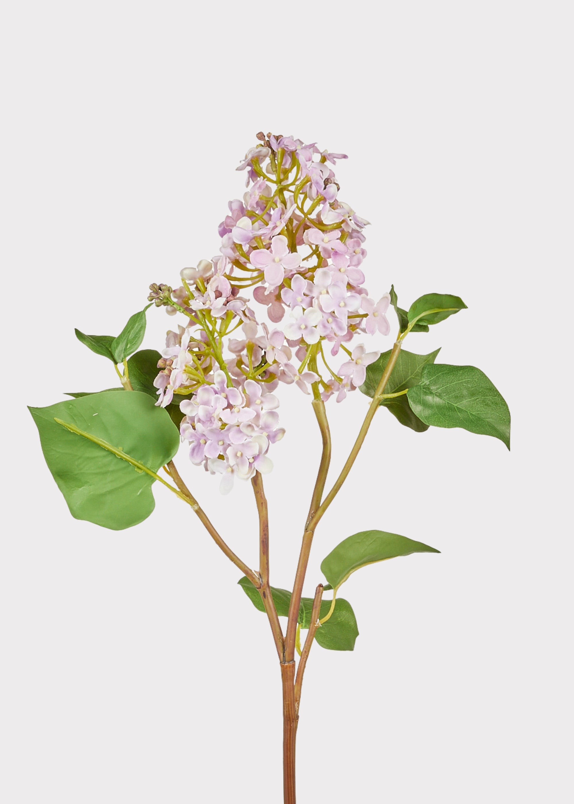 アーティストリー フローラ シック オードパルファン Lilac Branch in Soft Lavender | Faux Blooming Flowers at Afloral.com