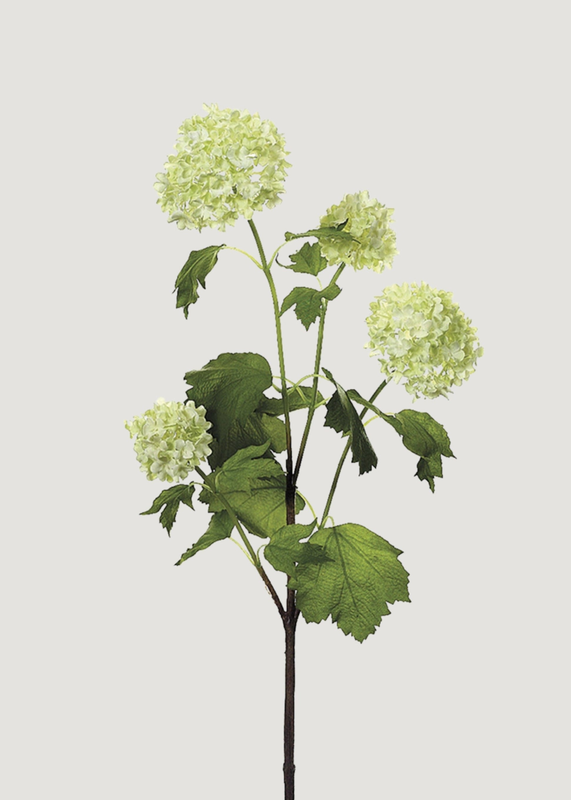 Faux Snowball Flowers in Cream Green