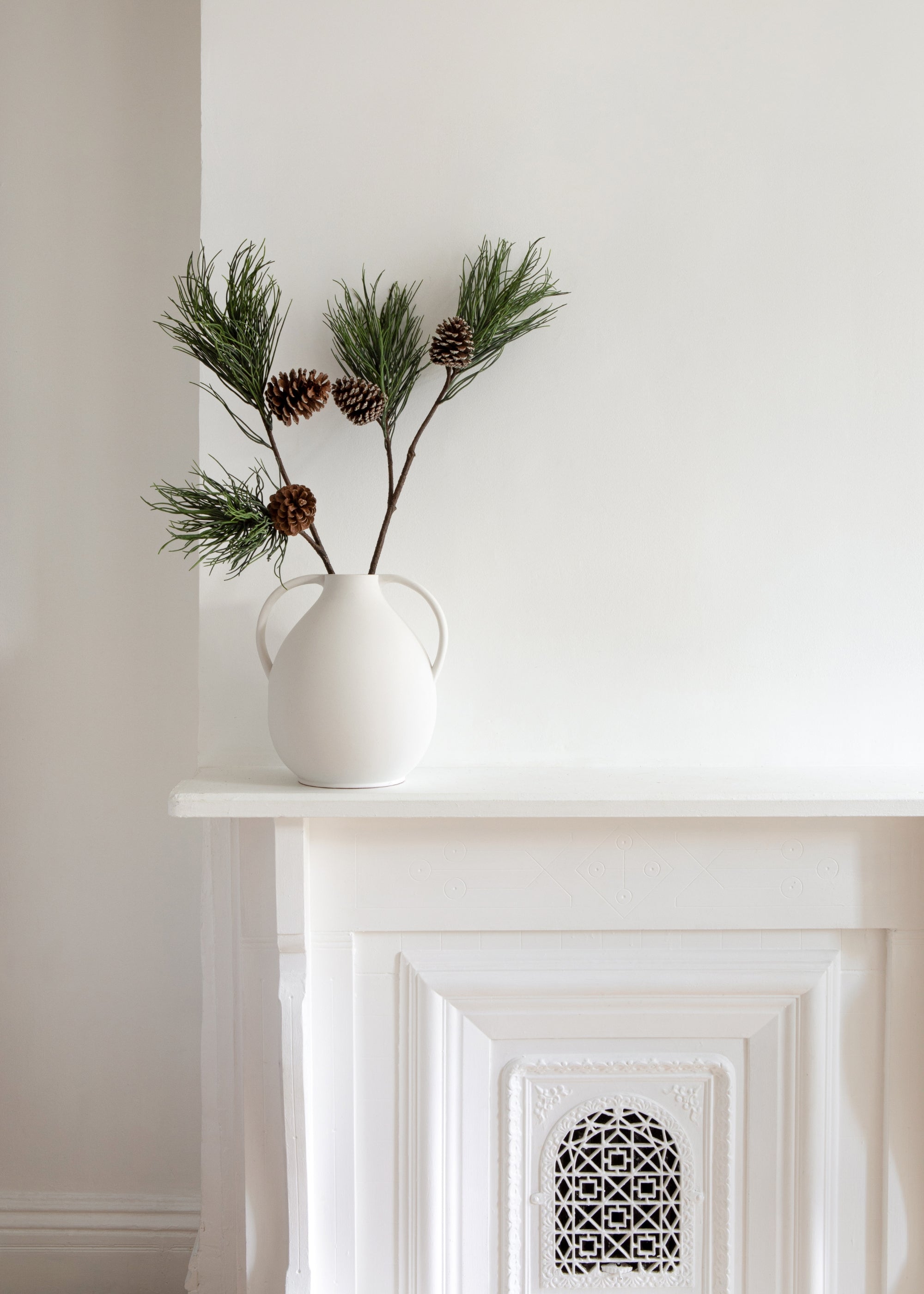 Winter Pine Branch with Cones Styled in Afloral Jug Vase