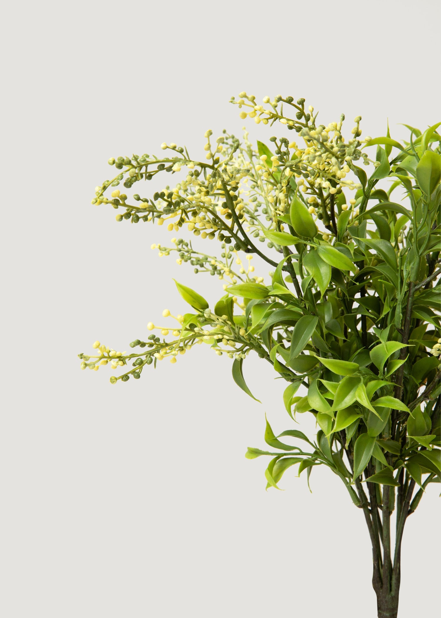 Artificial Sedum Succulent