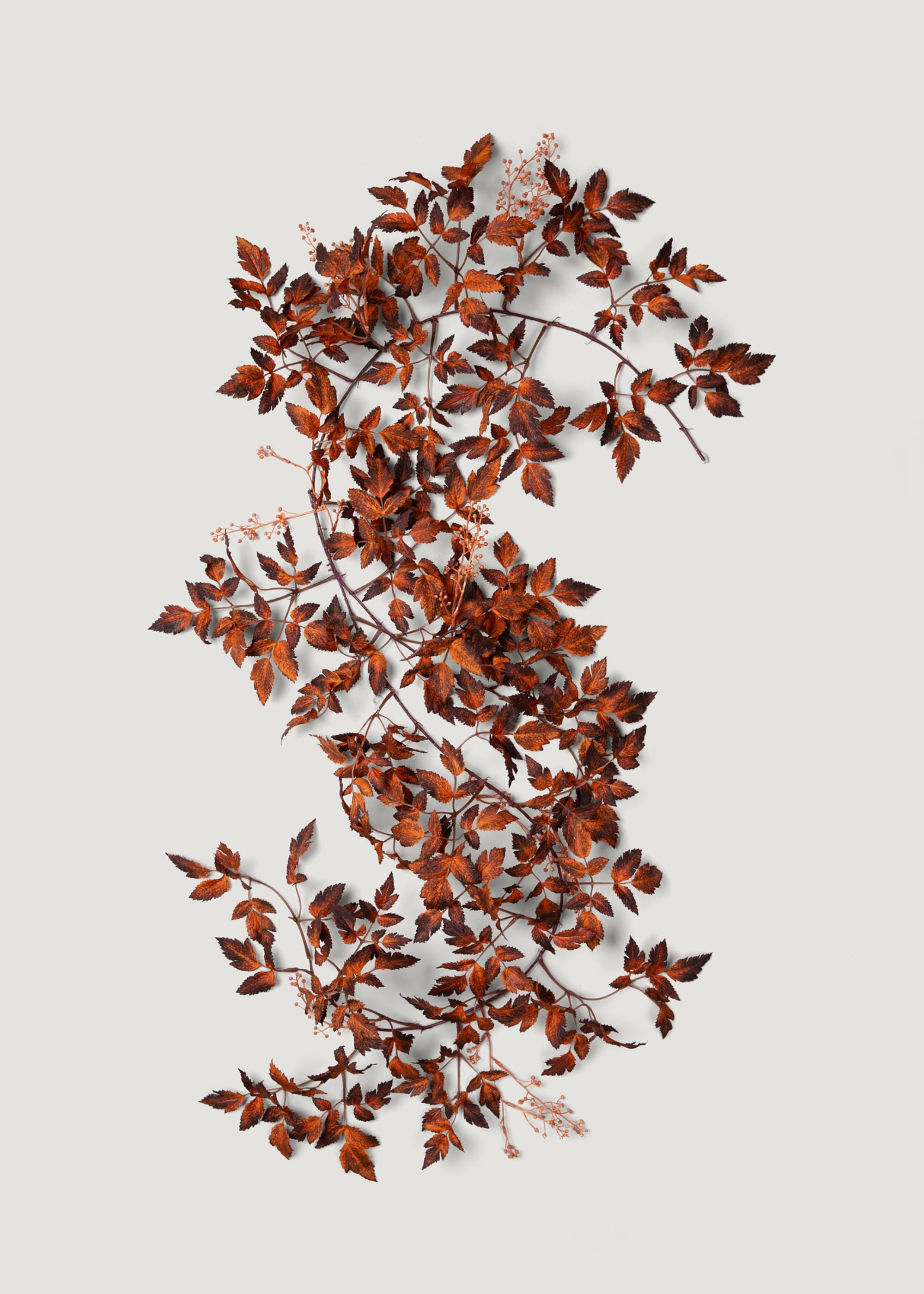 Brown Artificial Cimicifuga Seeded Garland