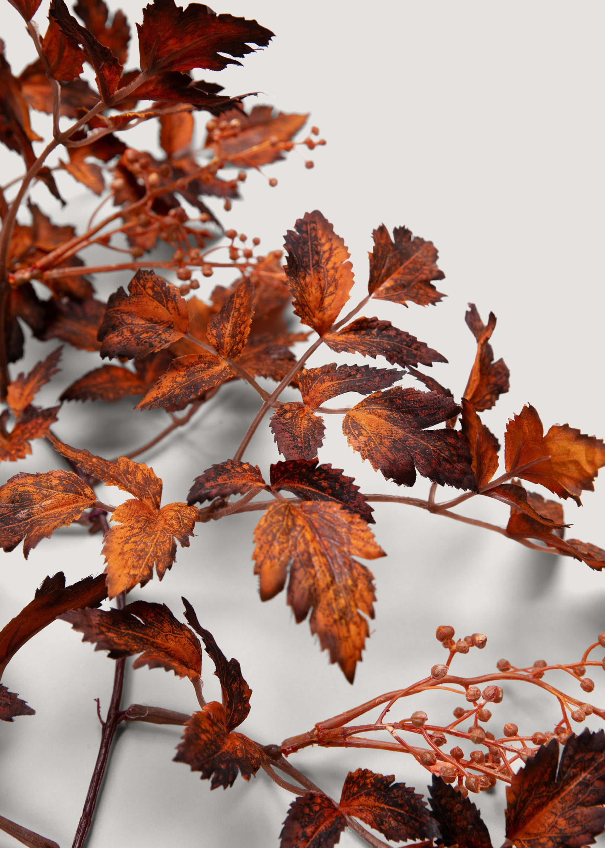 Brown Faux Cimicifuga Garland