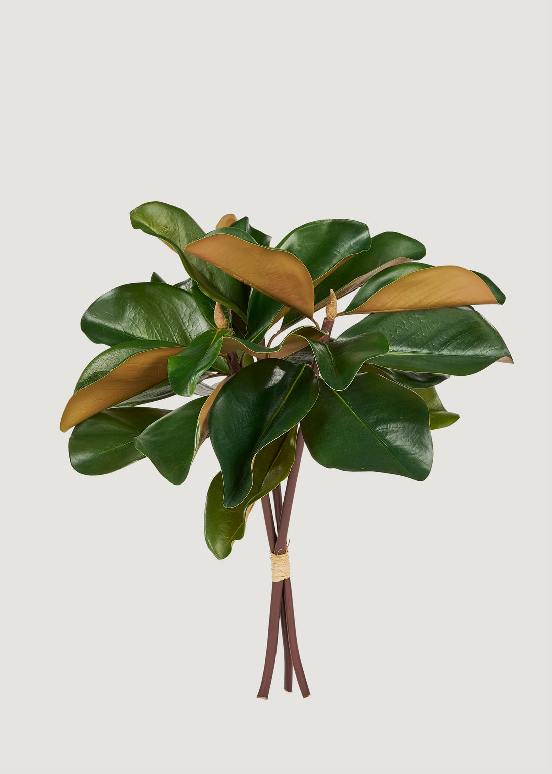 Artificial Magnolia 3-Stem Bundle