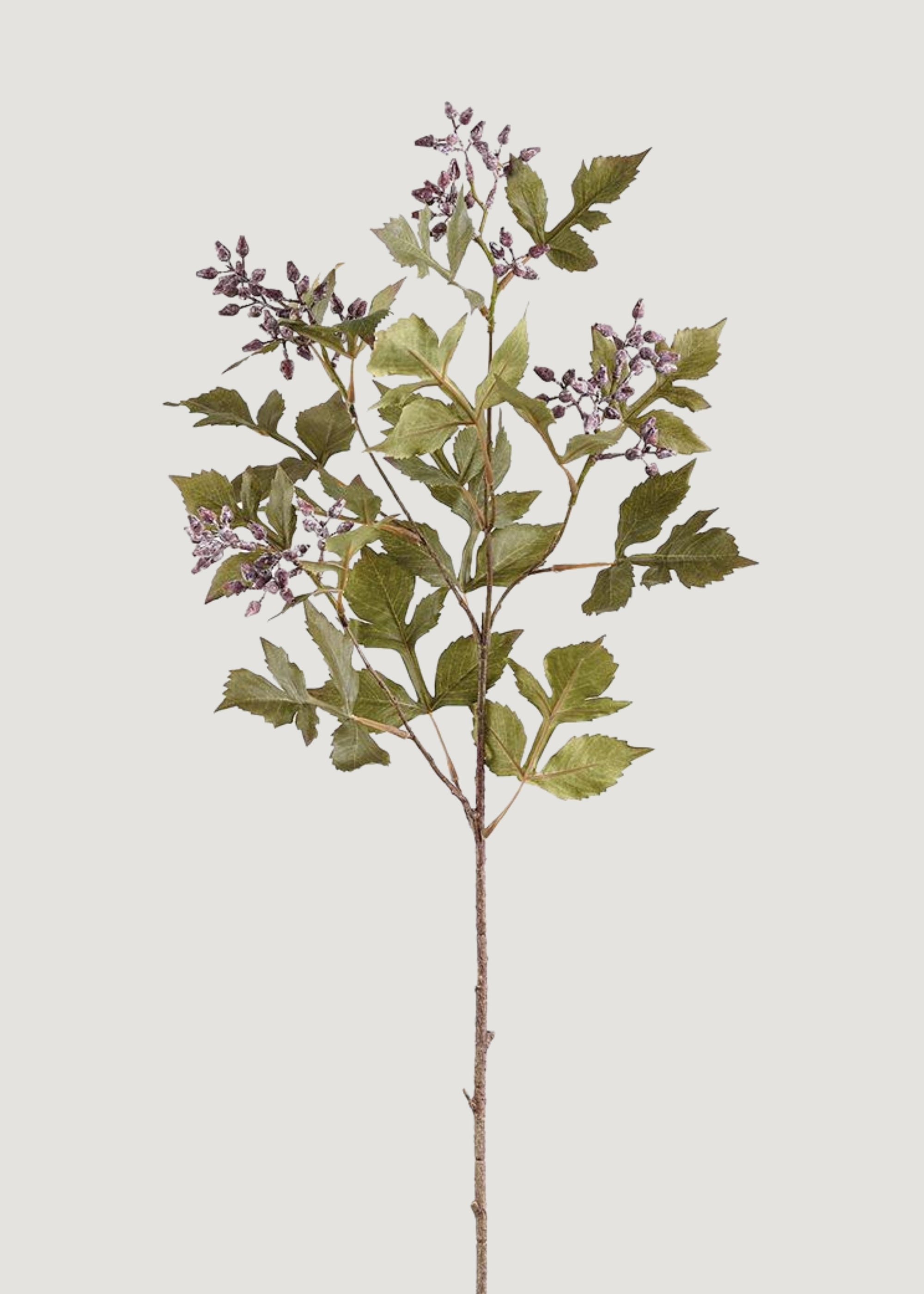 Artificial Seeded Ash Leaf Branch