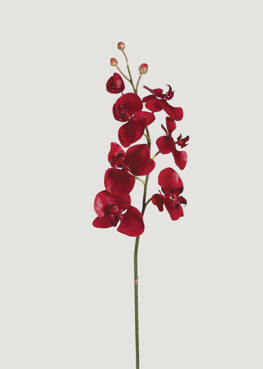 Red Artificial Phalaenopsis Orchid