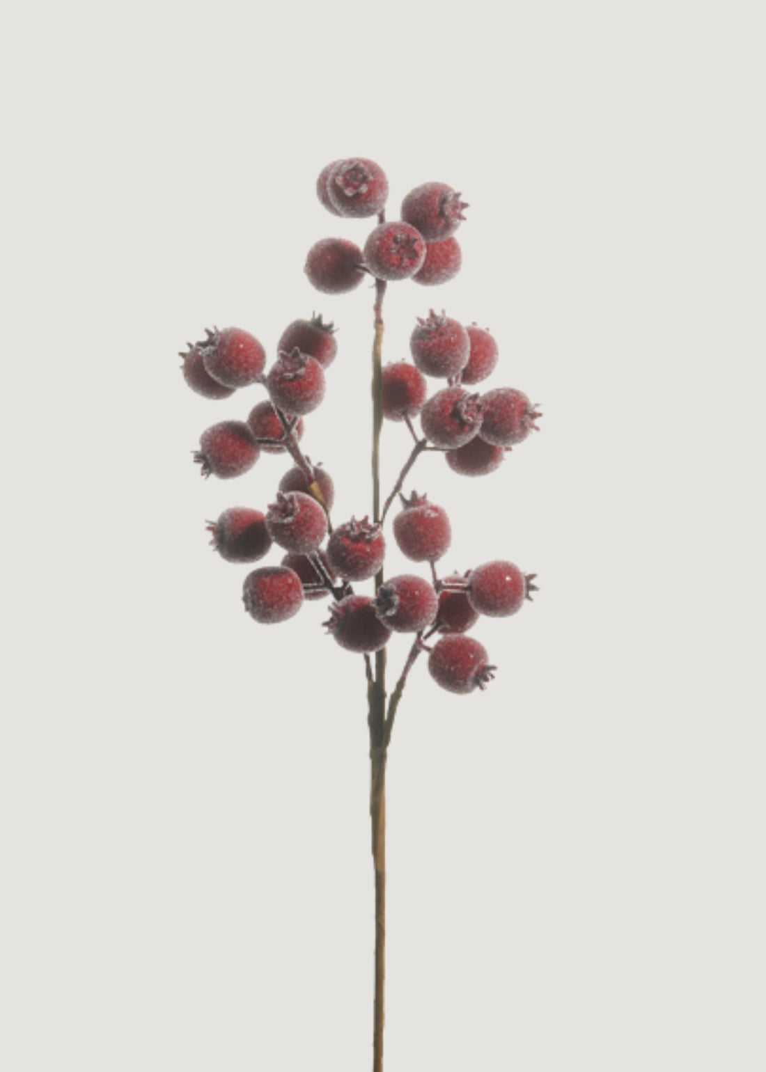Fake Holiday Berry Pod Branch in Iced Burgundy