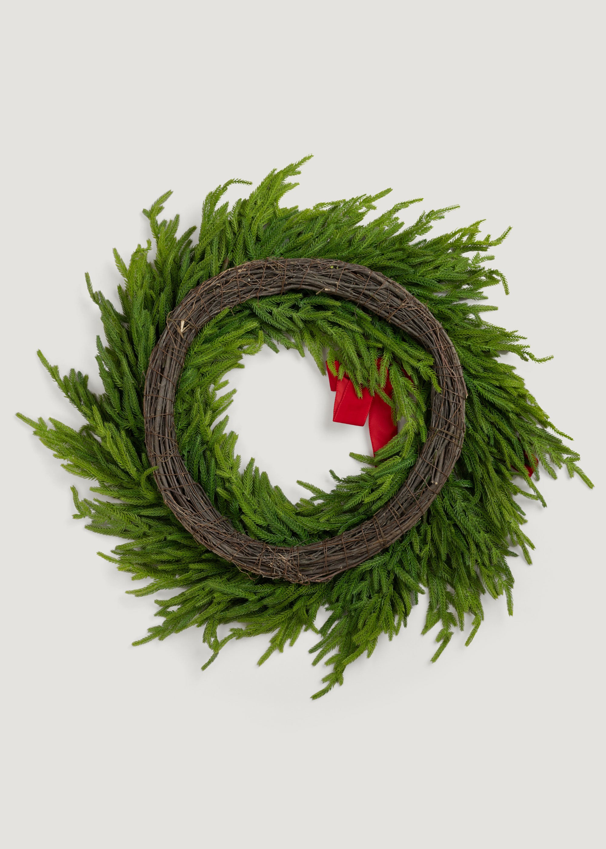 Back of the 30" Norfolk Pine Wreath