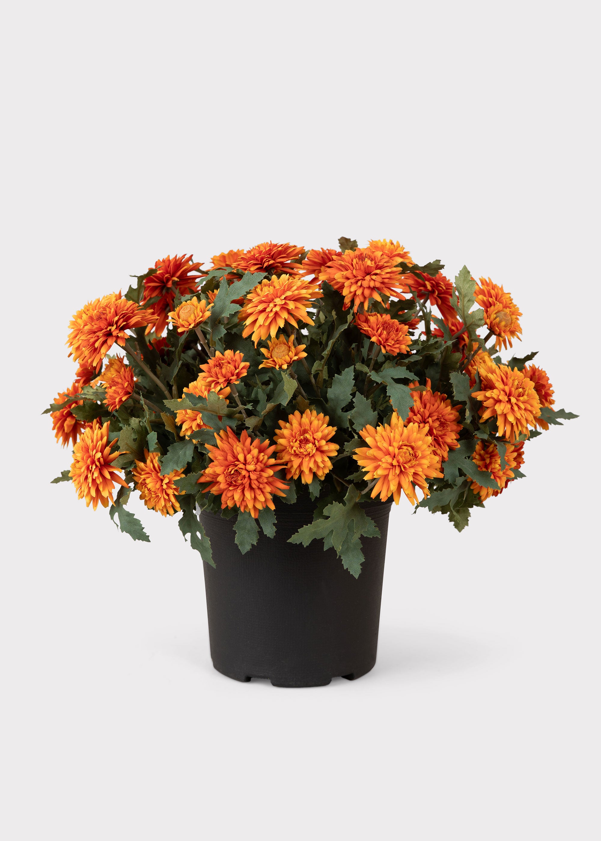 orange pot plants UV Treated Indoor/Outdoor Potted Fake Fall Orange Mums