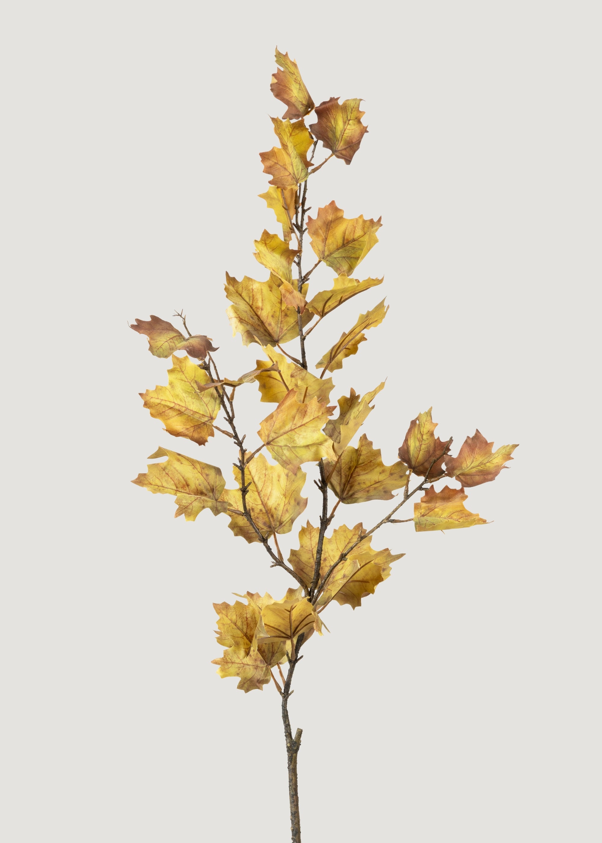 Faux Maple Leaf Branch