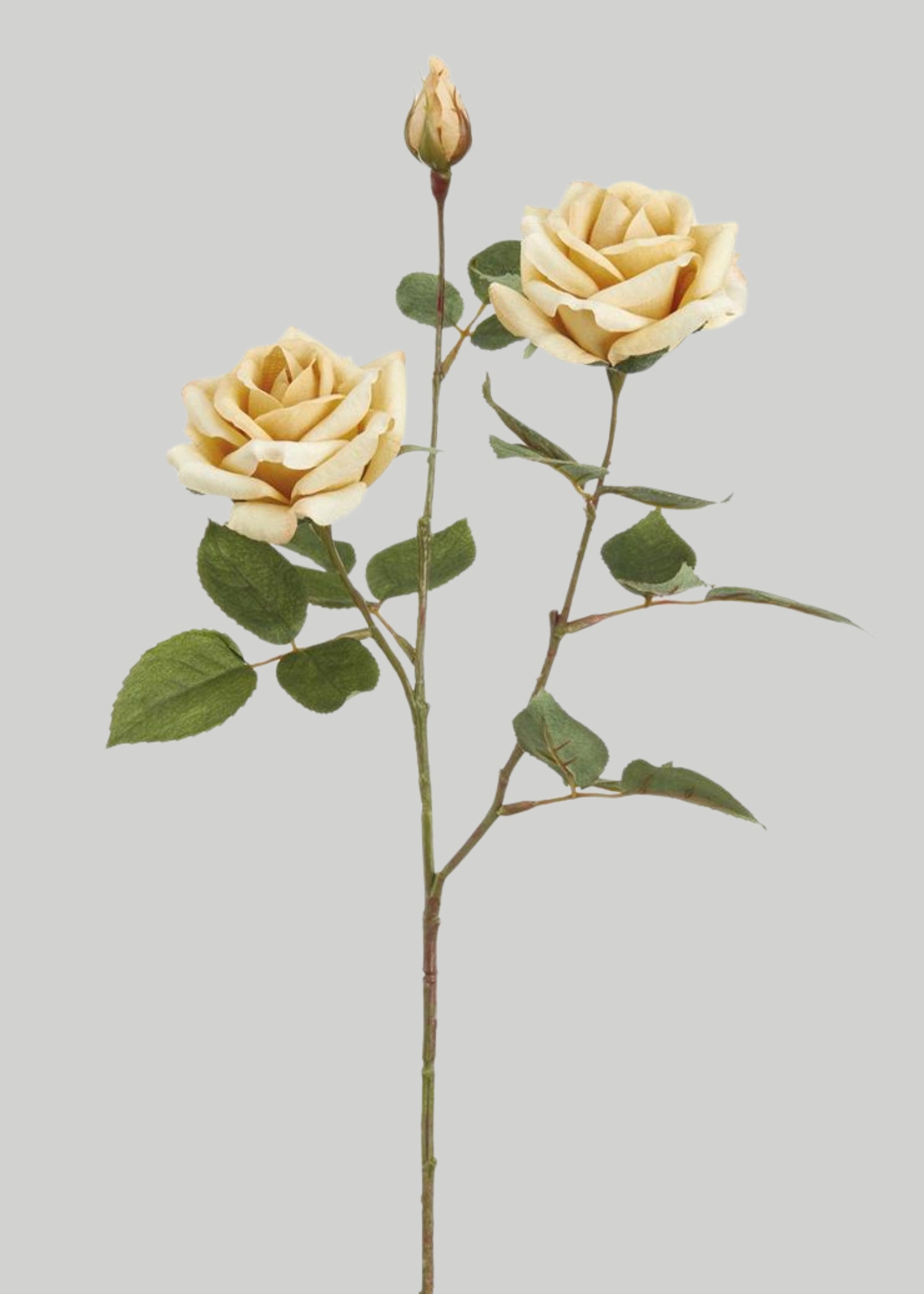 Rose Spray With 2 Flowers And 1 Bud Beige