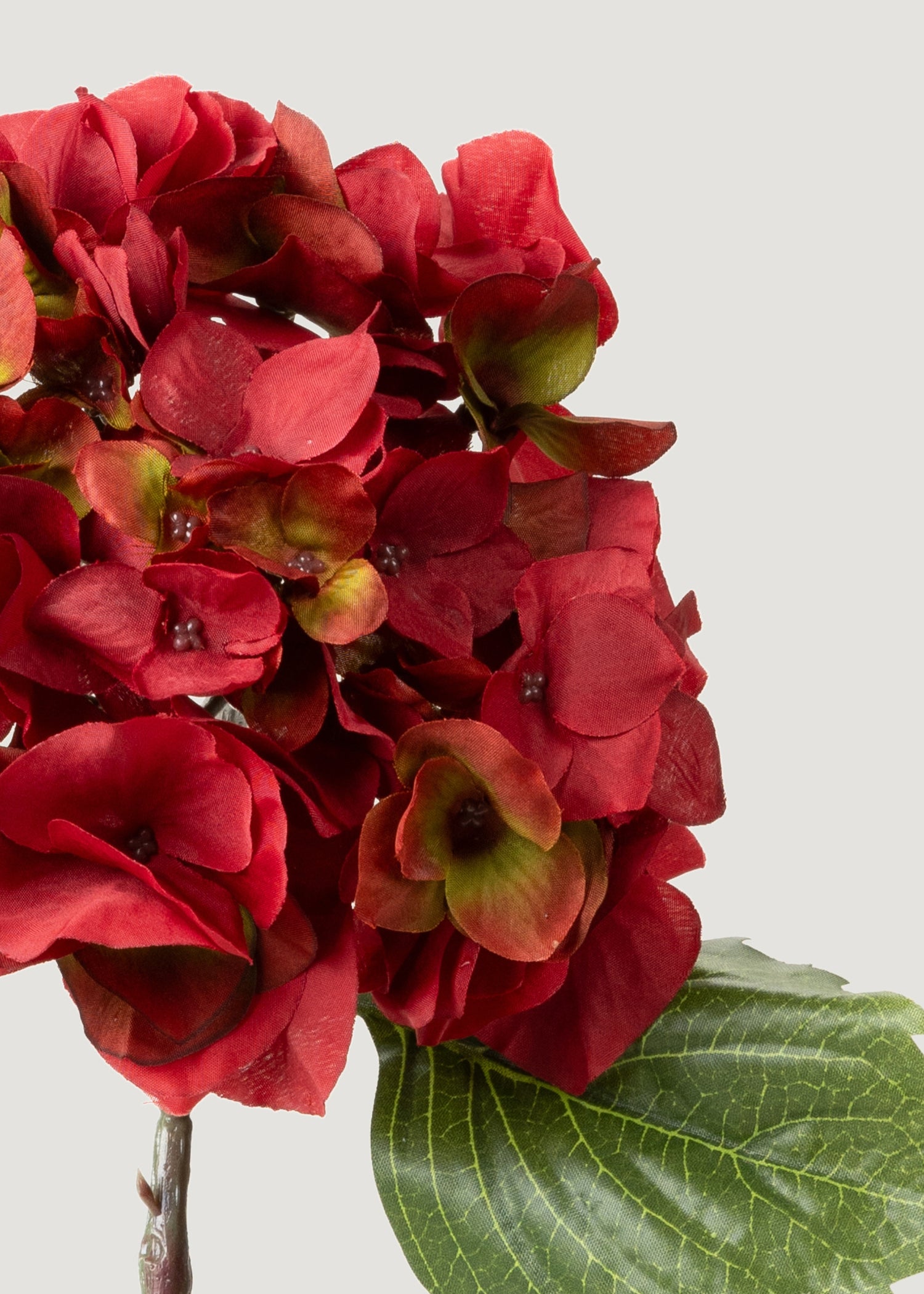 Close-up of Fake Red Hydrangea