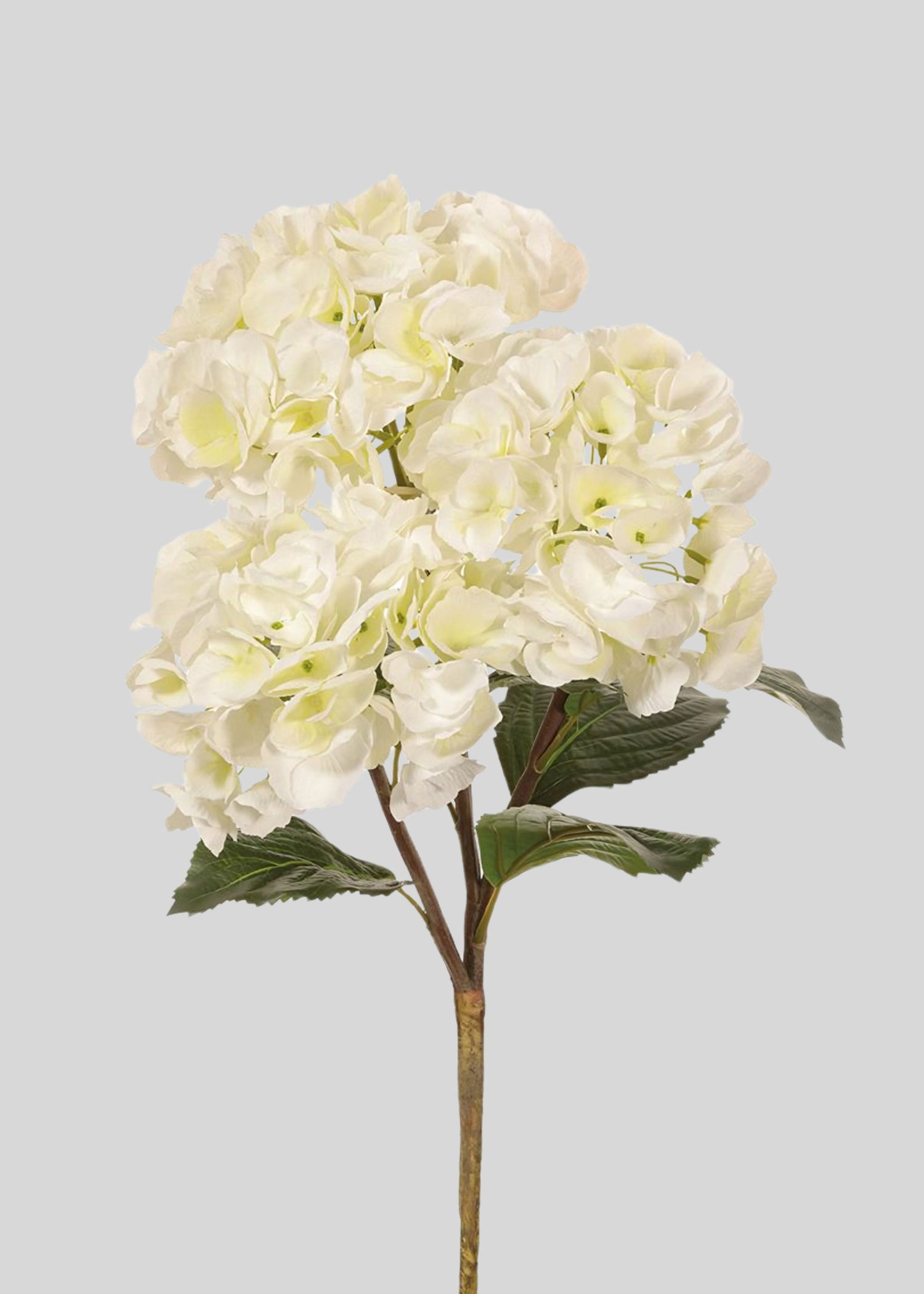Faux Hydrangeas in Cream White