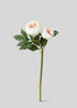Cream Artificial Peony Flowers