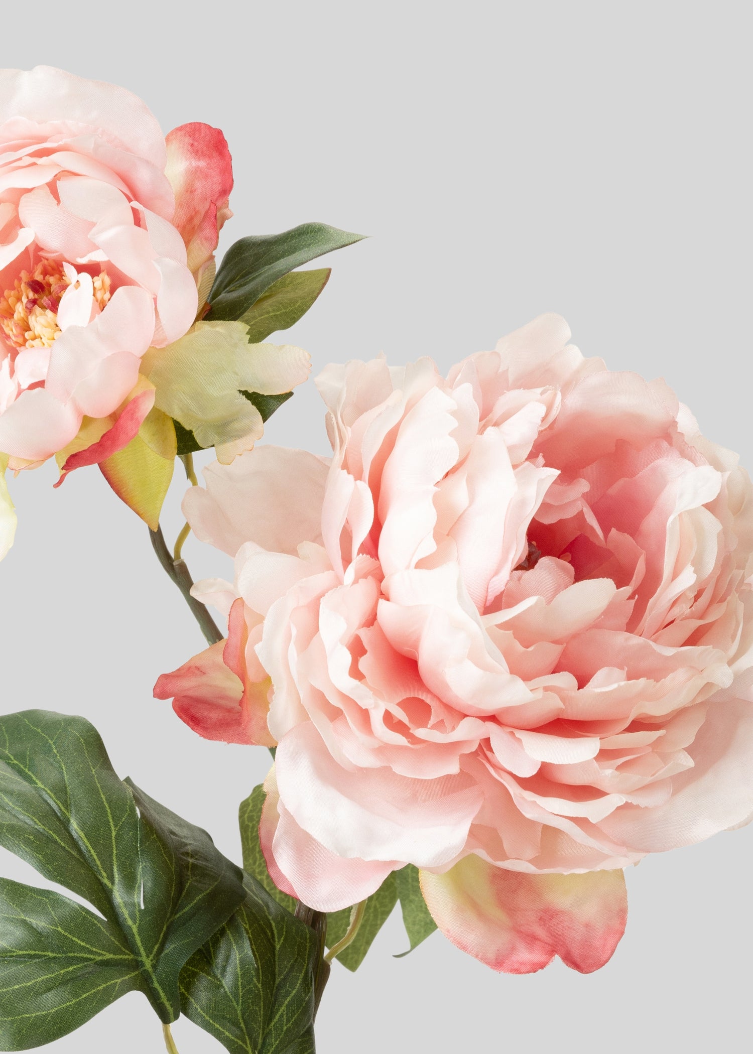 Close-up of Faux Pink Peony