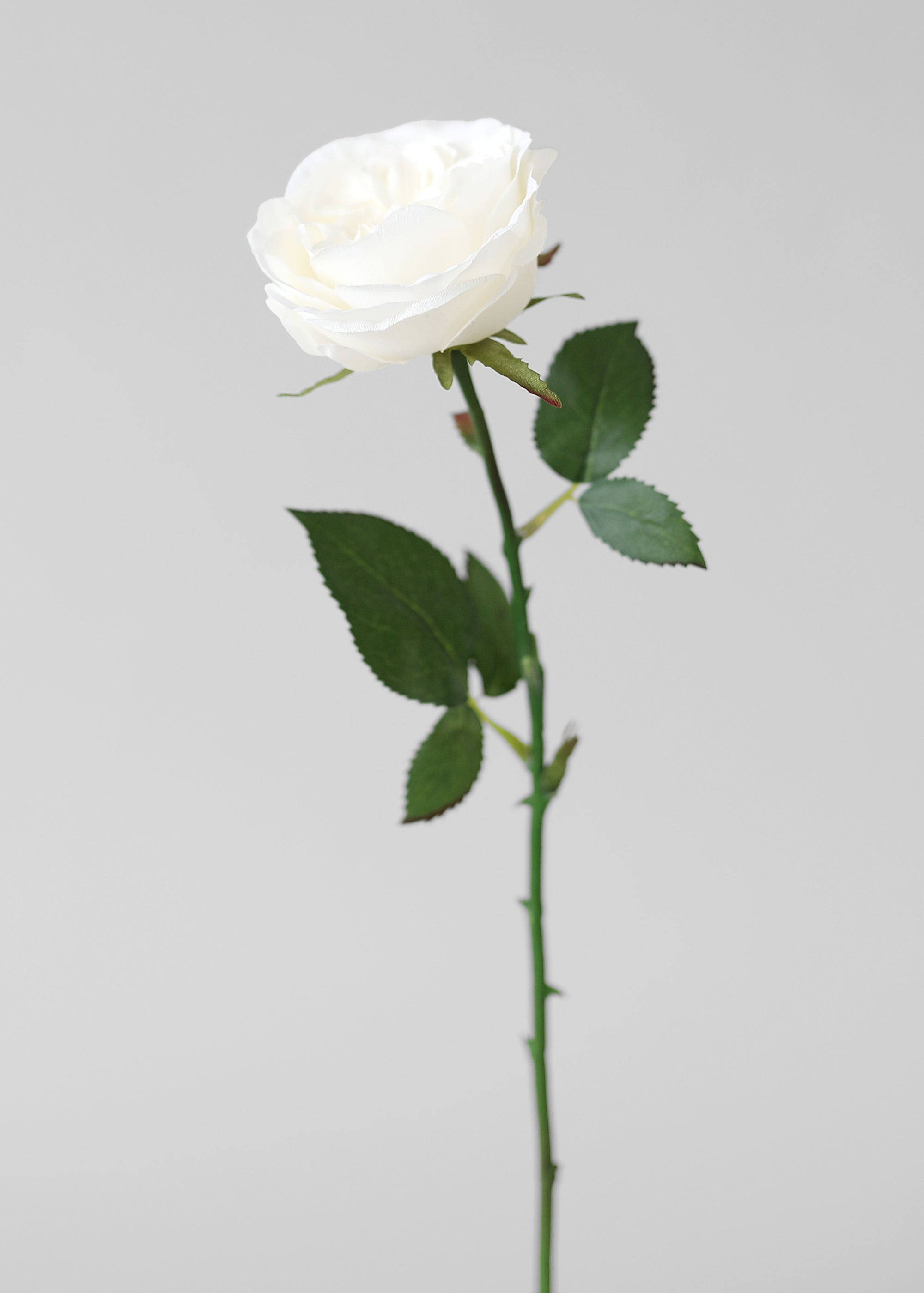 Single white silk rose