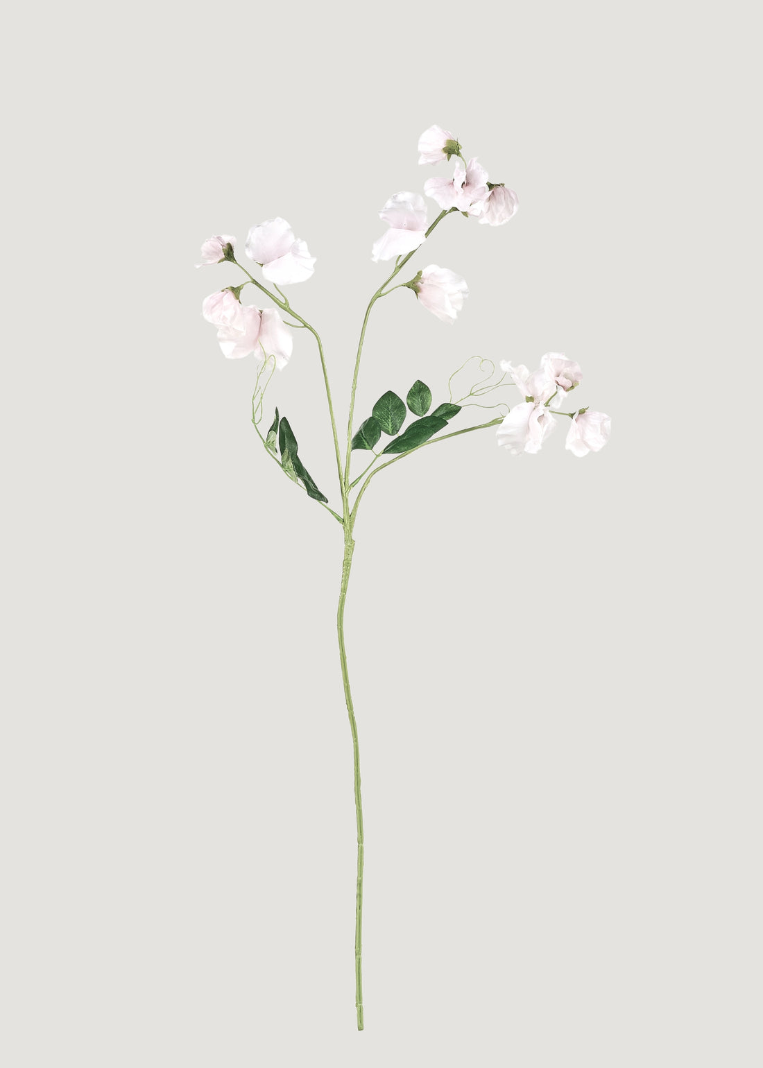 Artificial Sweet Pea Flower Stem
