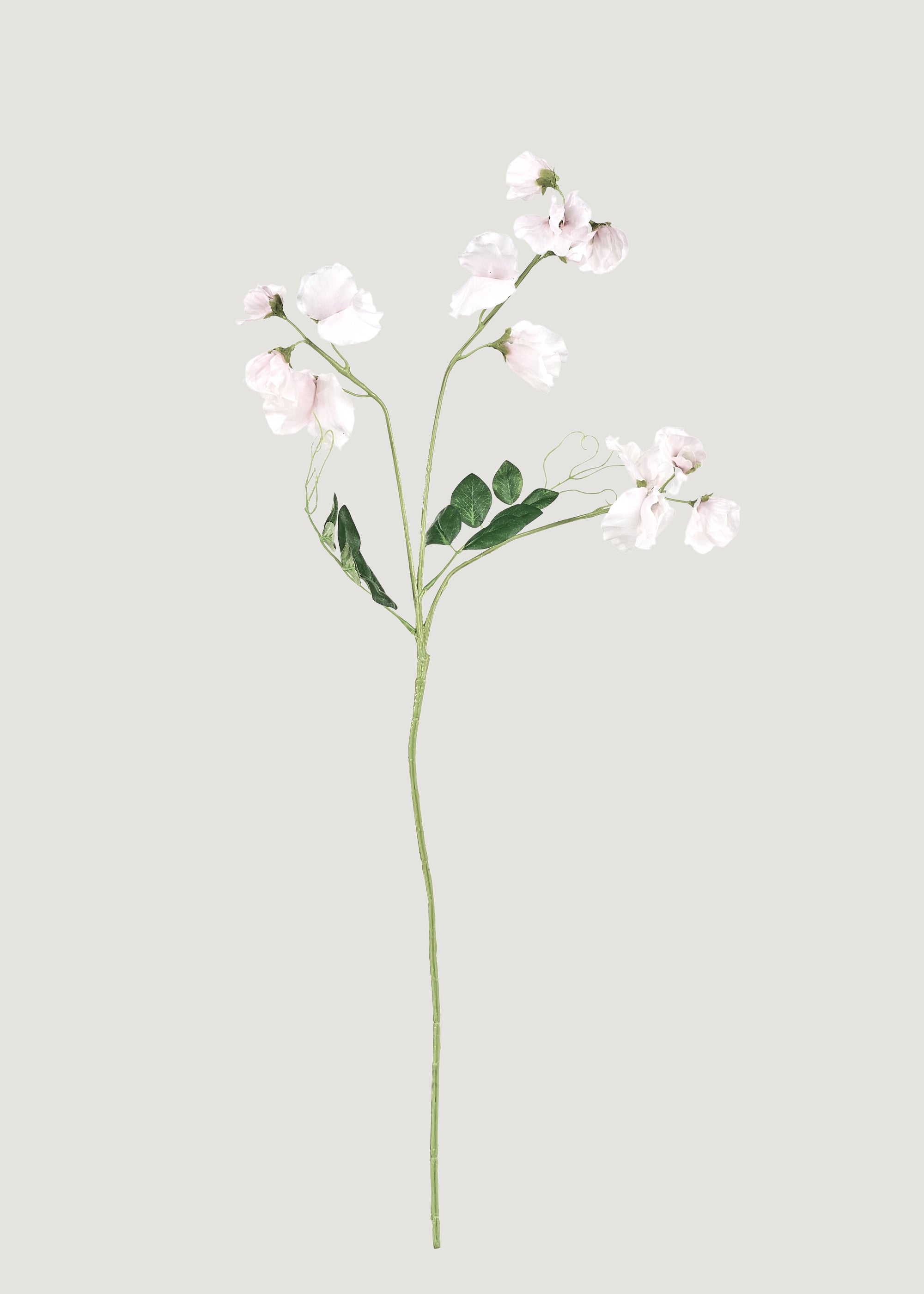 Artificial Sweet Pea Flower Stem