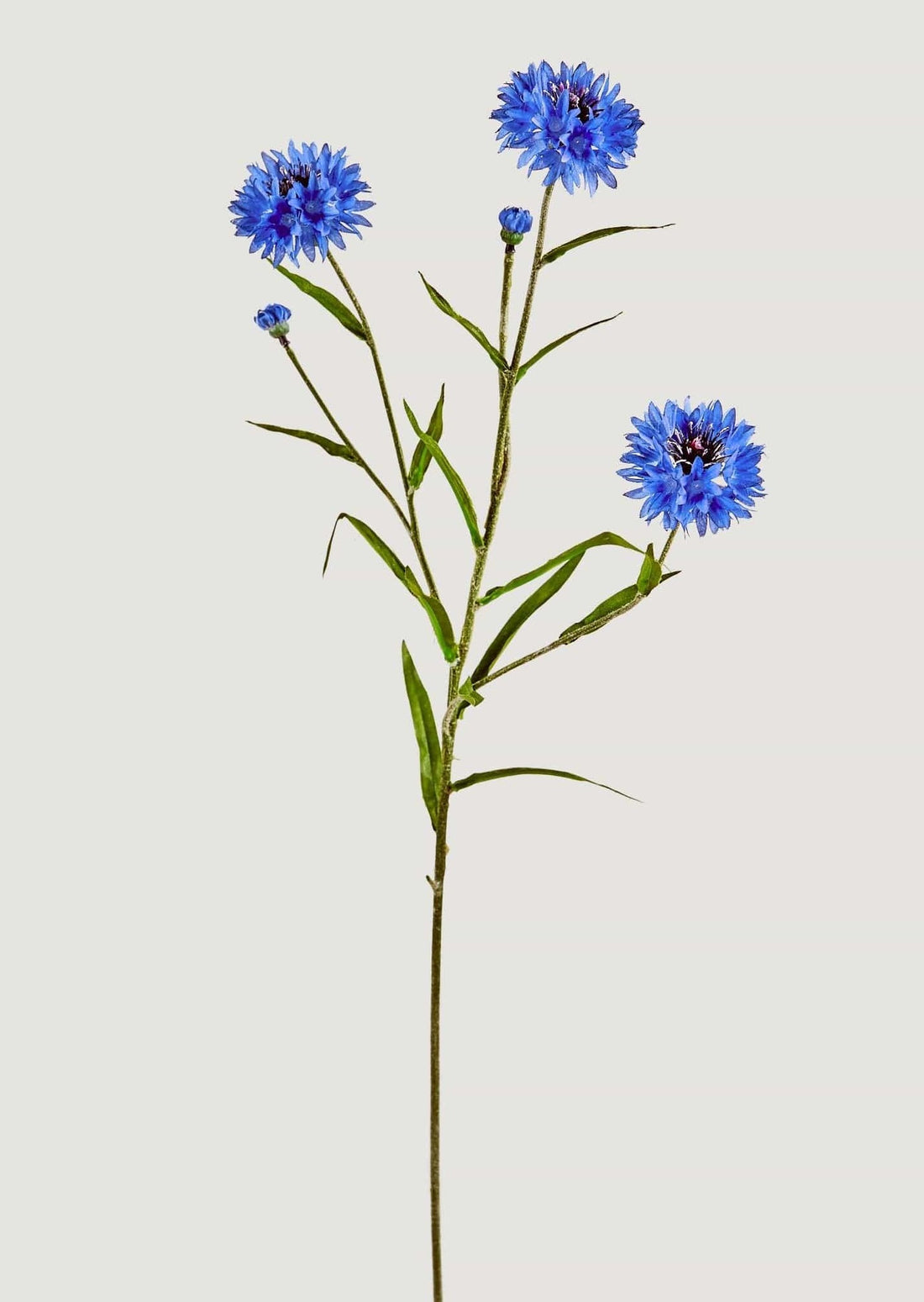 Faux Wildflowers Blue Cornflower Spray at Afloral