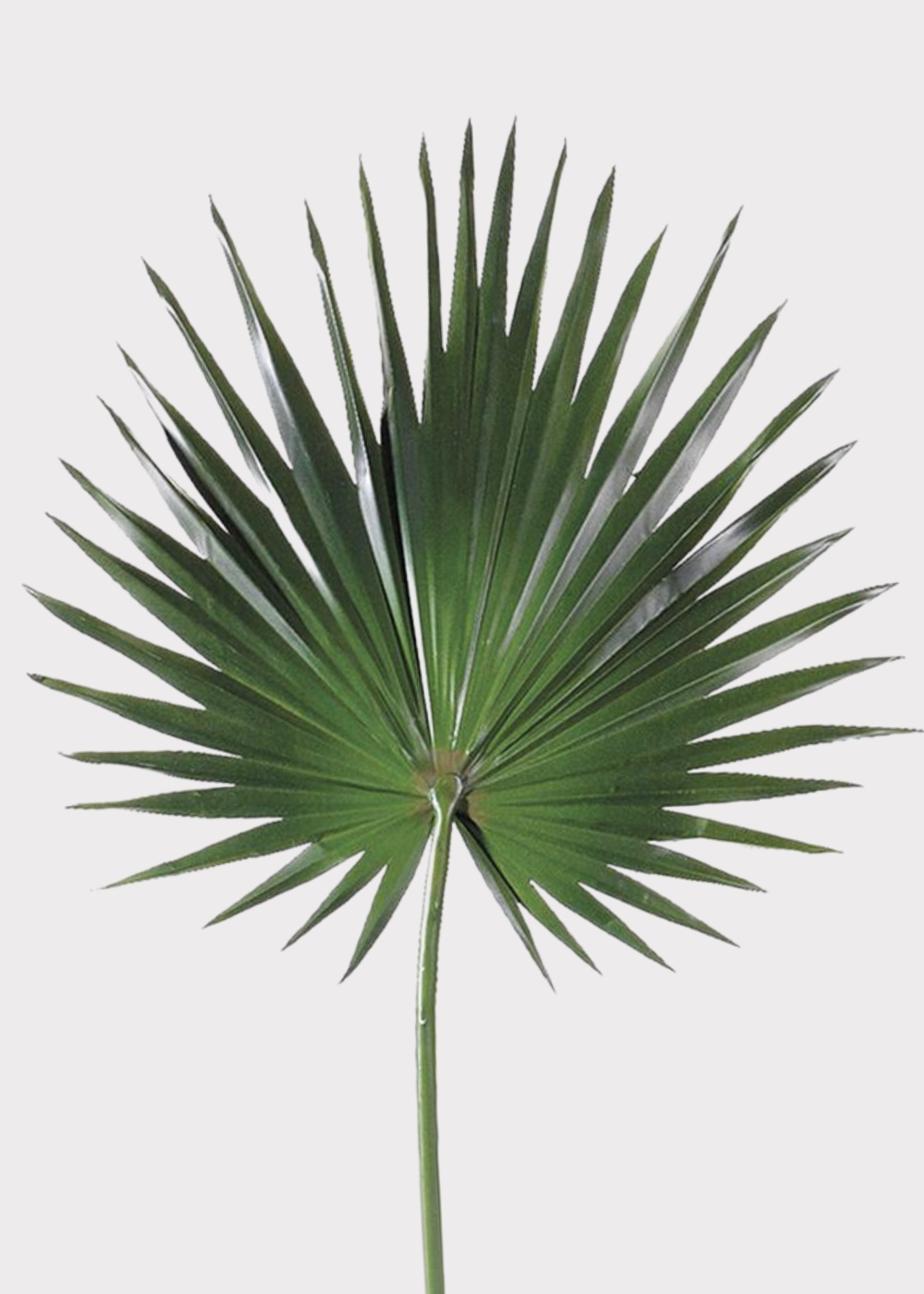 palpalページ Artificial Fan Palm Leaf | Fake Tropical Leaves and Greens | Afloral