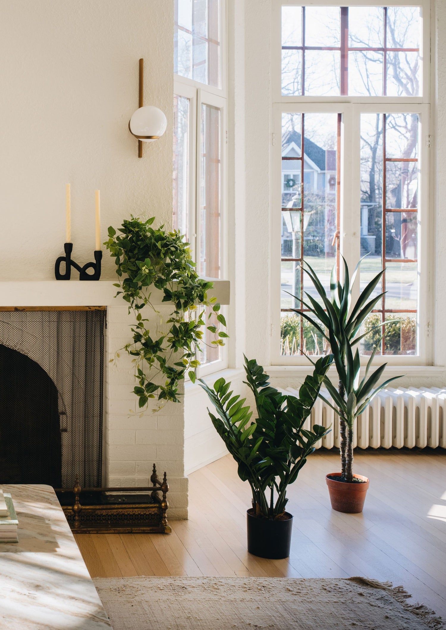 UV Resistant Outdoor Potted Artificial ZZ Plant - 31"