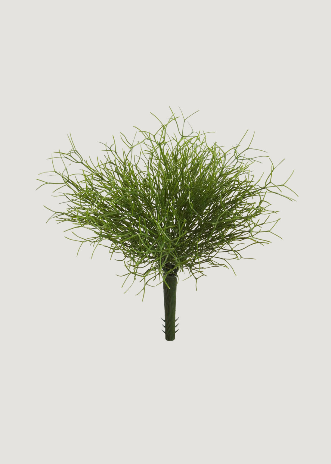 Fake Whisk Fern Foliage Bush