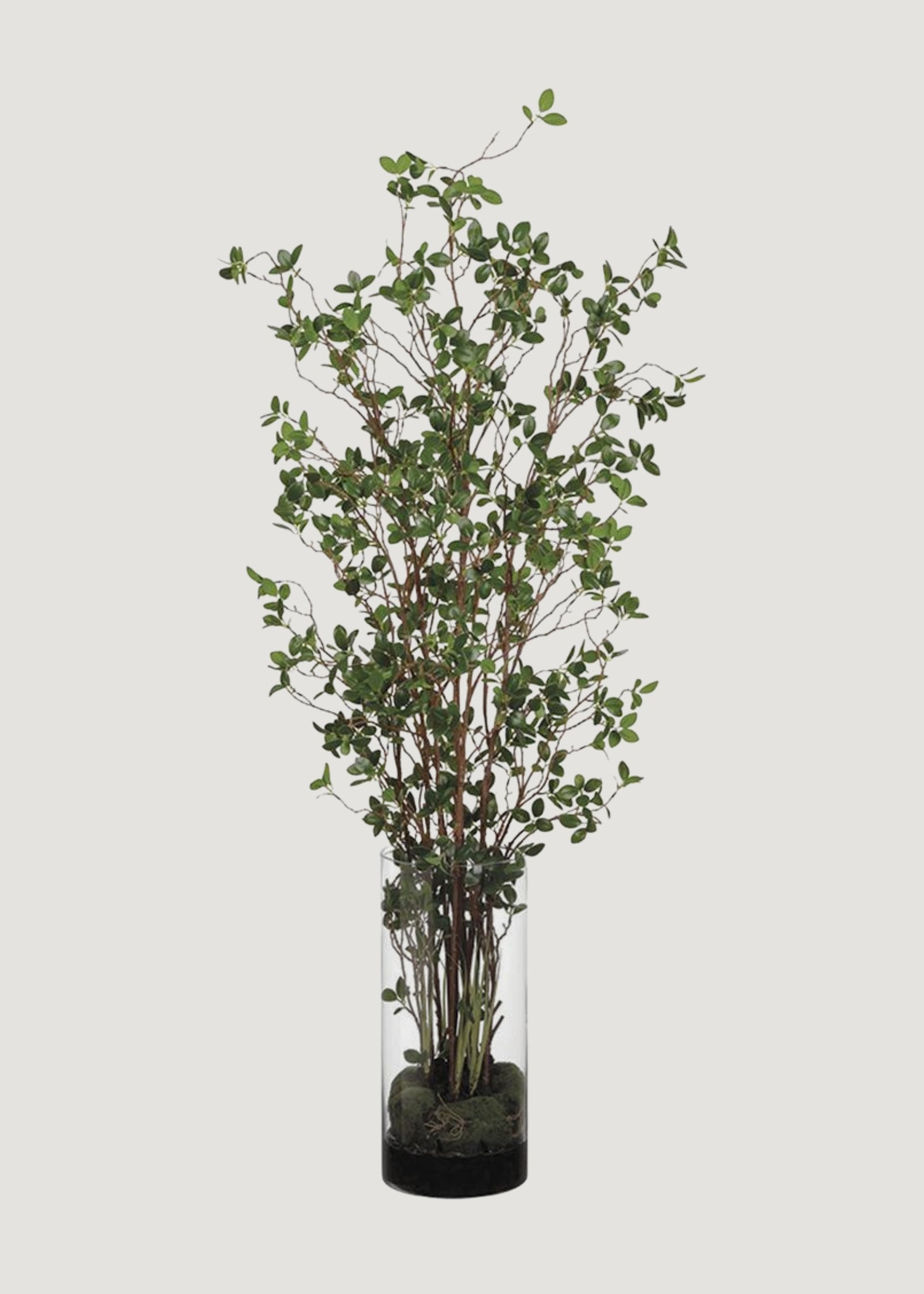 Artificial Tree Plant in Glass Cylinder Vase