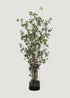 Artificial Tree Plant in Glass Cylinder Vase