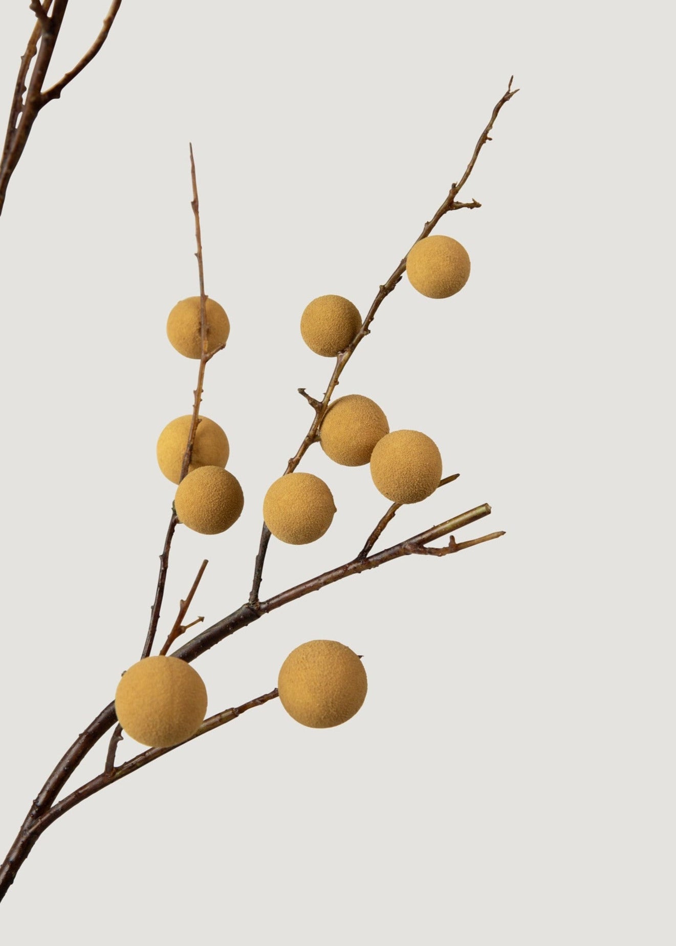 Closeup of Faux Longan Fruit Branch