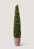 Faux Indoor/Covered Outdoor Boxwood Topiary Tree in Terra Cotta Pot at Afloral