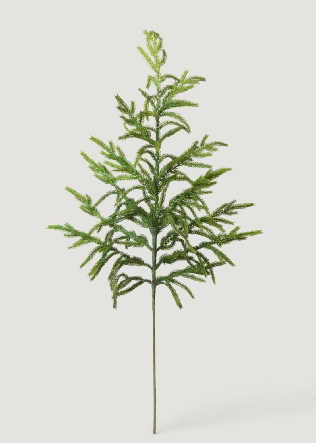 Faux Winter Greens Real Touch Norfolk Pine Branch at Afloral