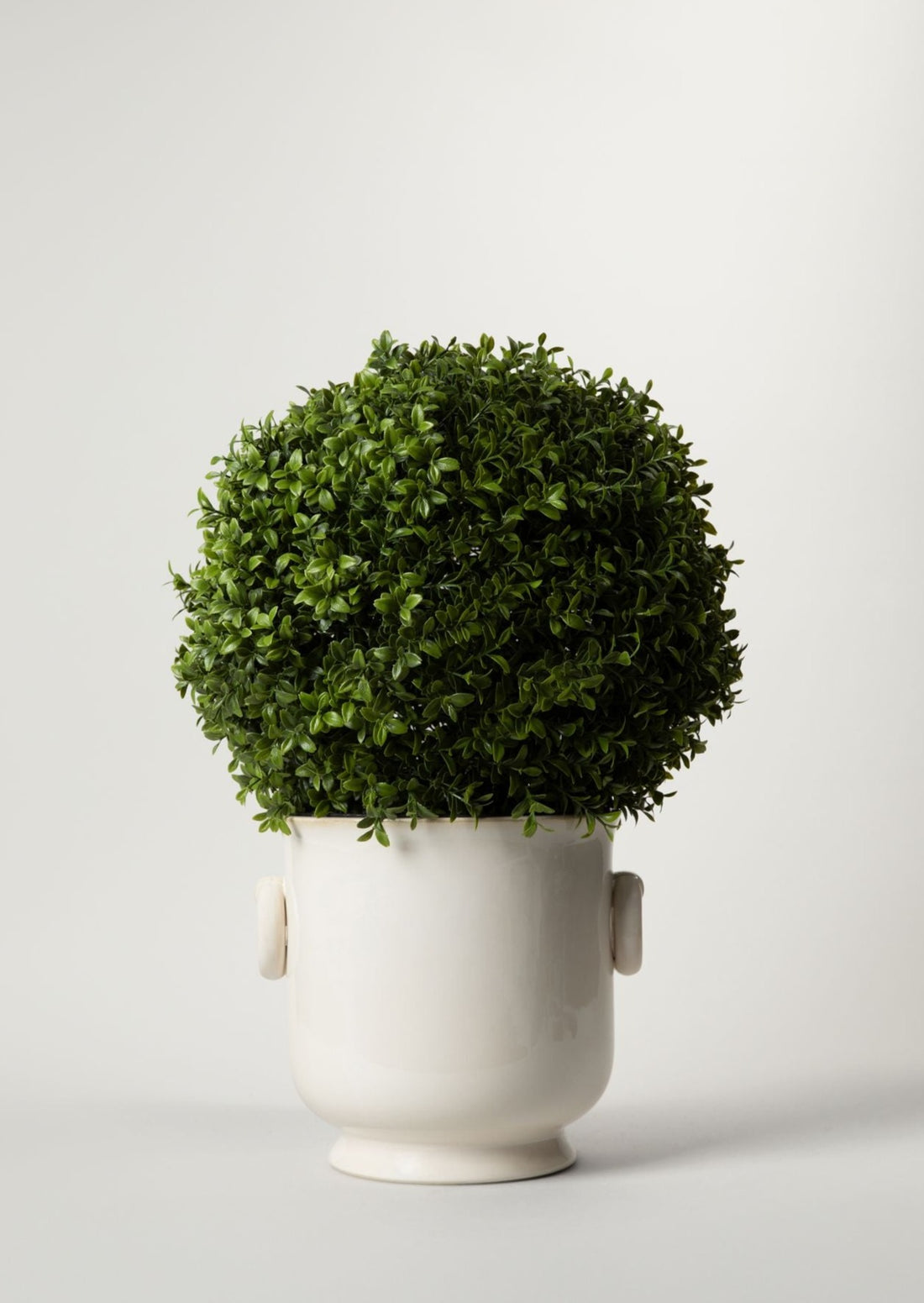 Artificial Boxwood Topiary Styled in Cream Cache Pot
