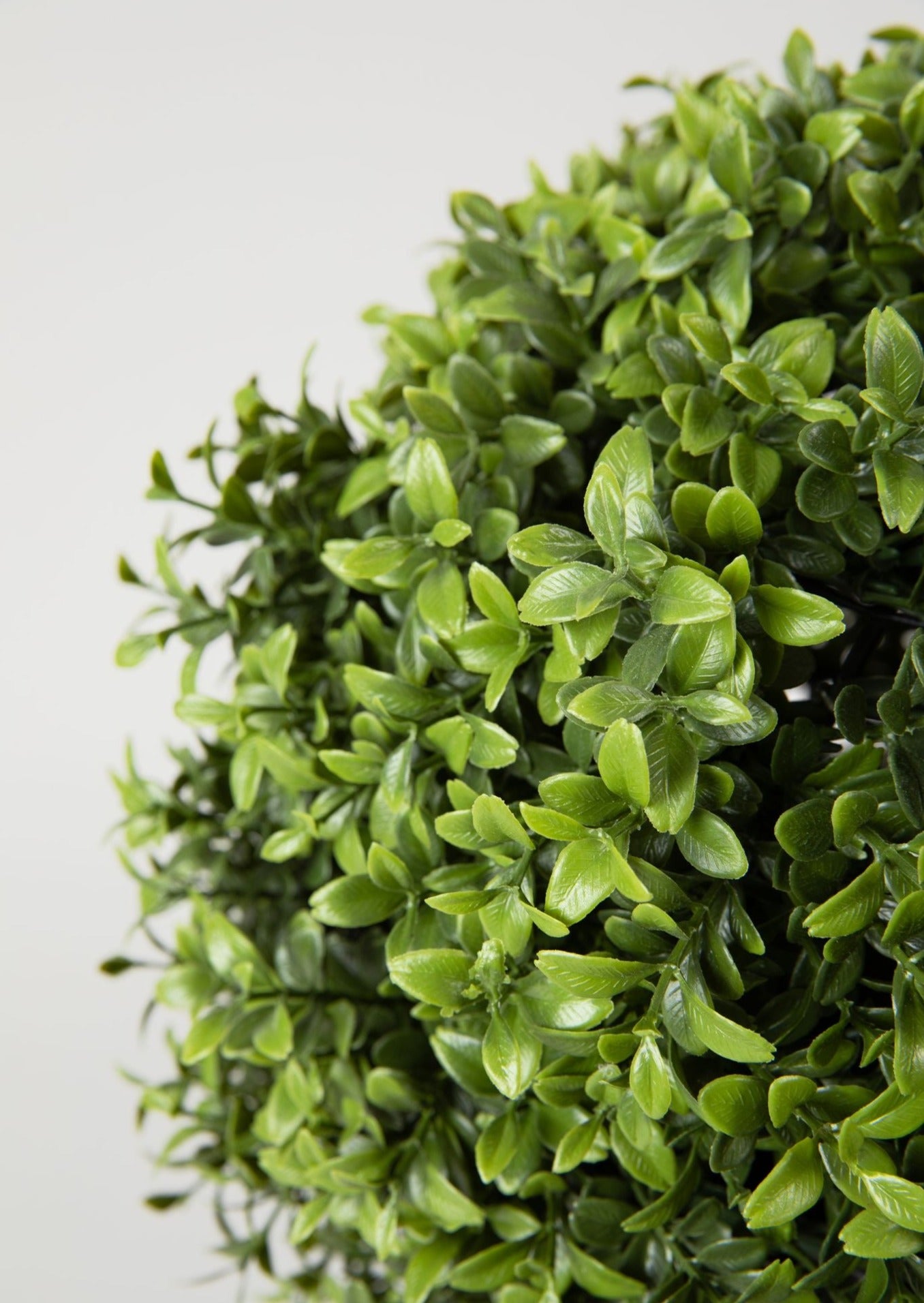 Close Up of Artificial Boxwood Topiary Plant