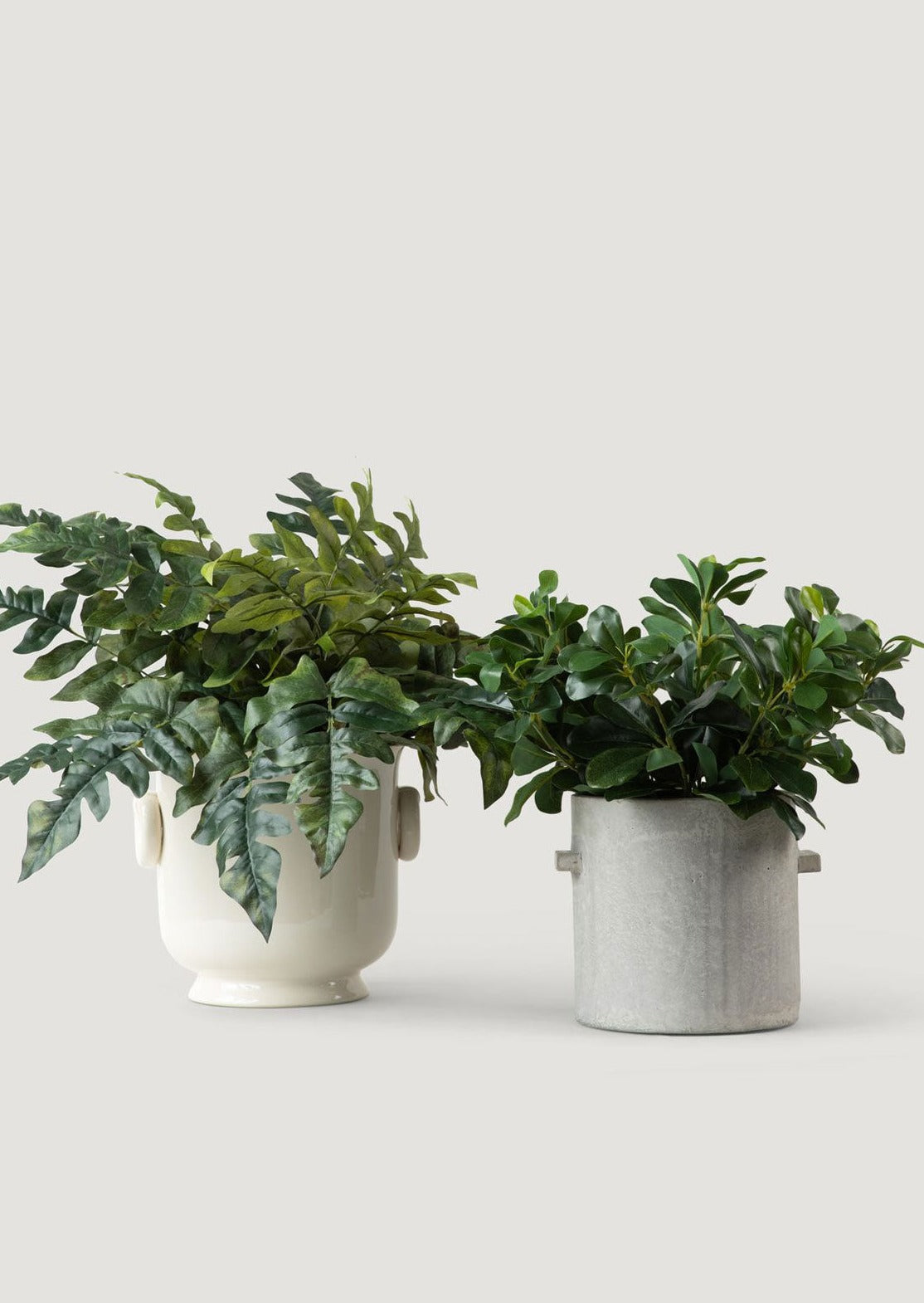 Concrete Pot by Serax Styled with Faux Privet Plant and Shown with Faux Royal Fern