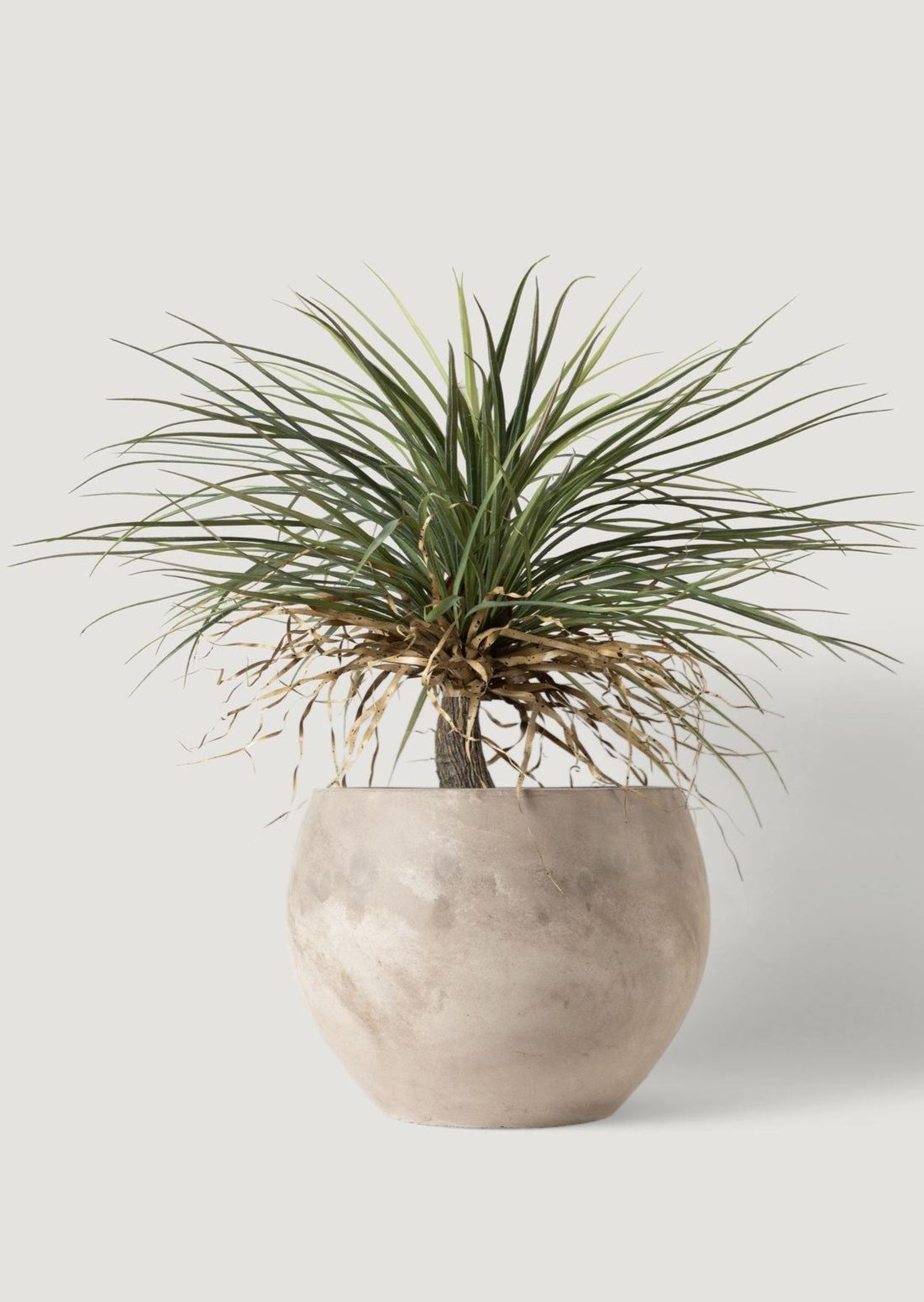 Luxe Artificial Potted Palm Tree Plant in Cement Planter