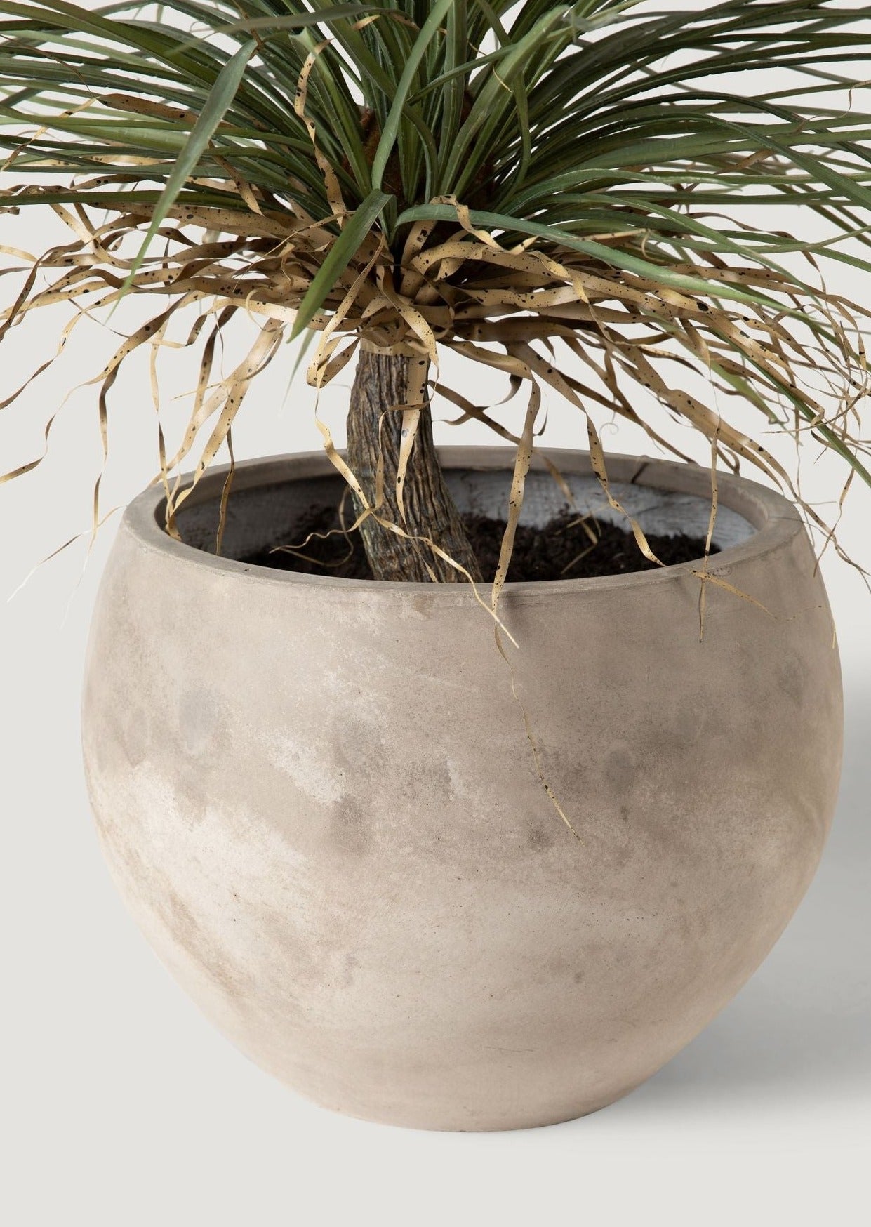 Luxe Faux Potted Indoor Plants Palm Tree in Cement Pot