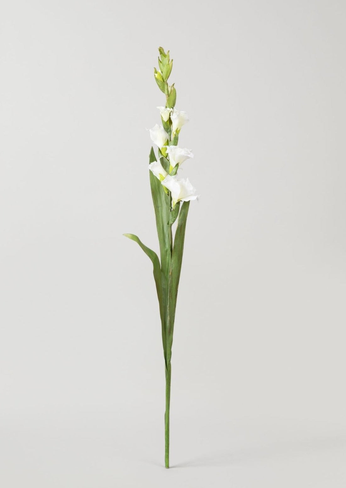 Artificial Blooming Gladiolus Stem in White
