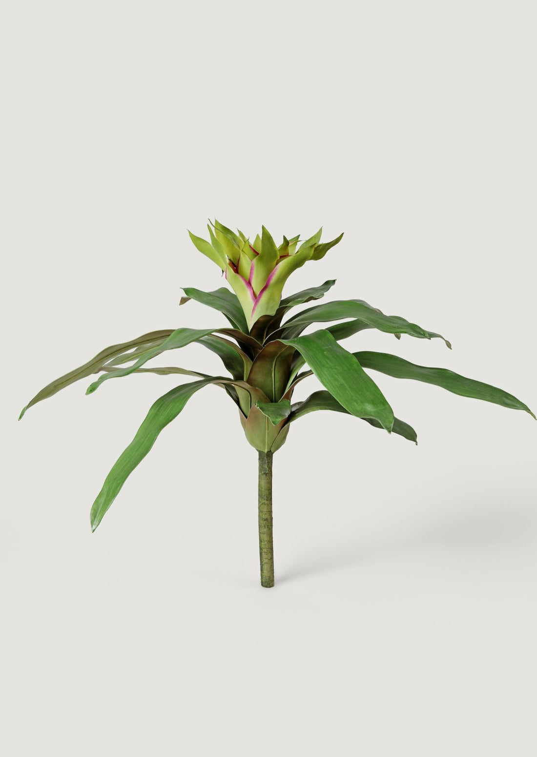 Luxury Fake Plants Bromeliad with Fuchsia Green Bloom Cluster