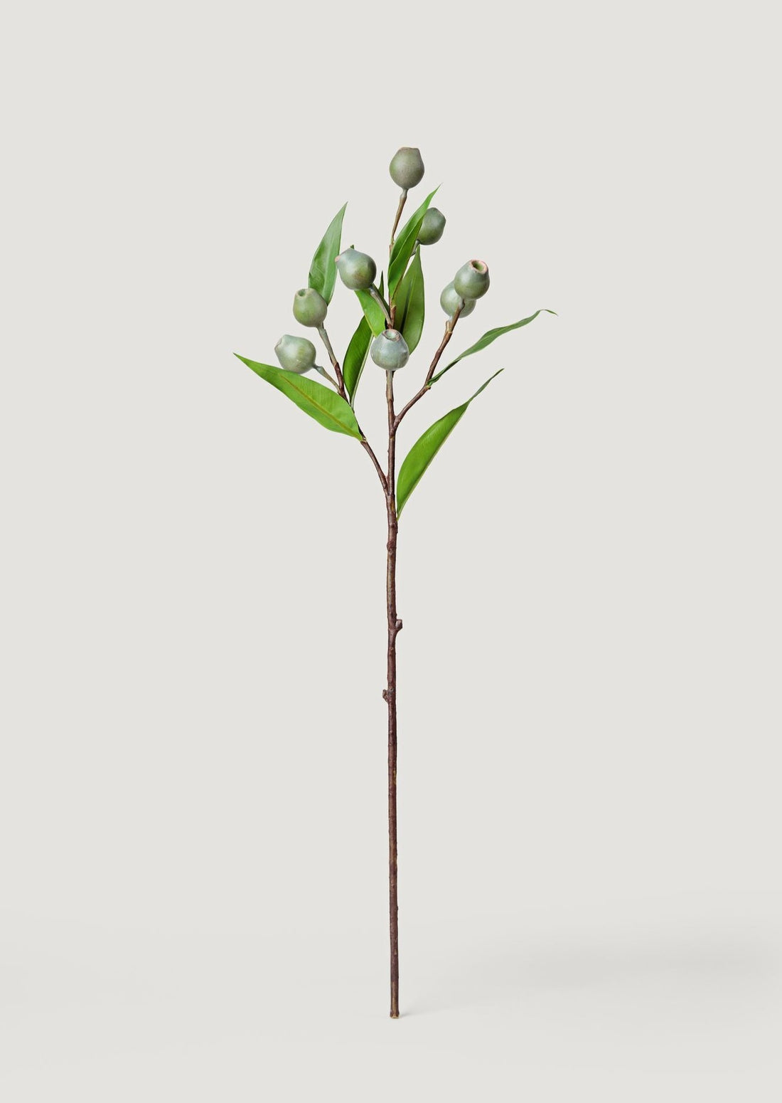 Artificial Green Stems Eucalyptus Branch with Pods