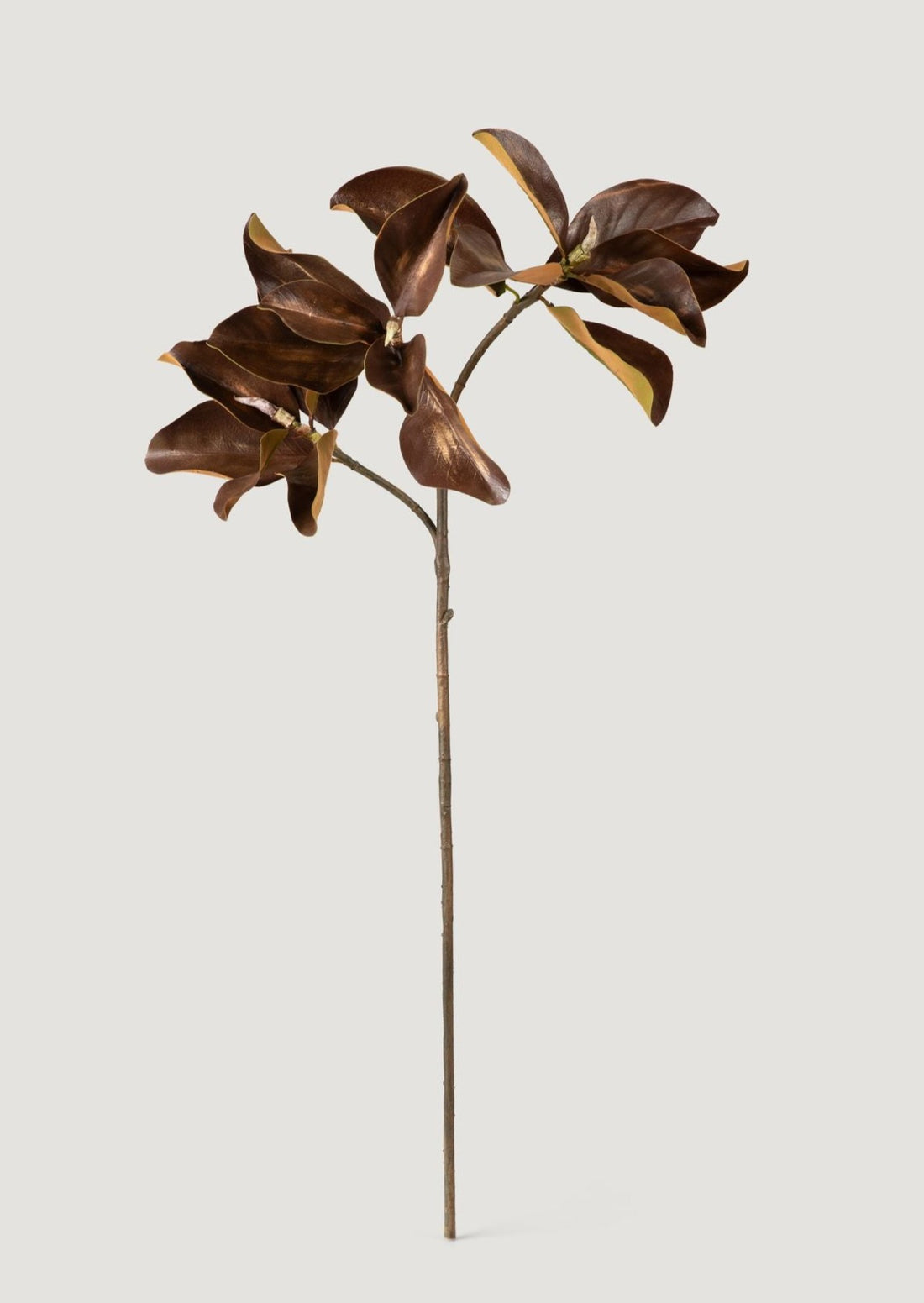 Artificial Magnolia Leaf in Brown